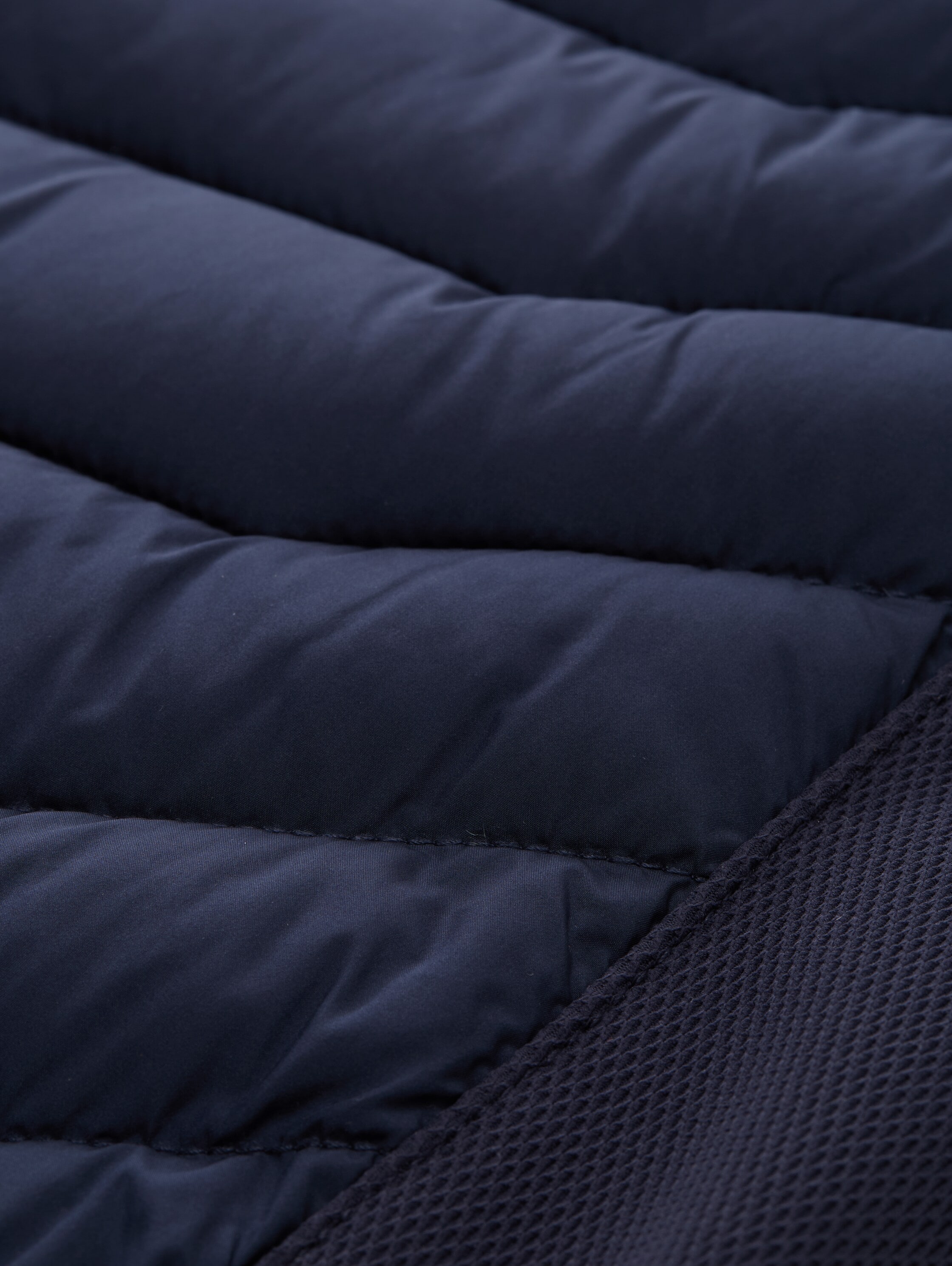 TOM TAILOR Steppweste, mit Logo Stickerei