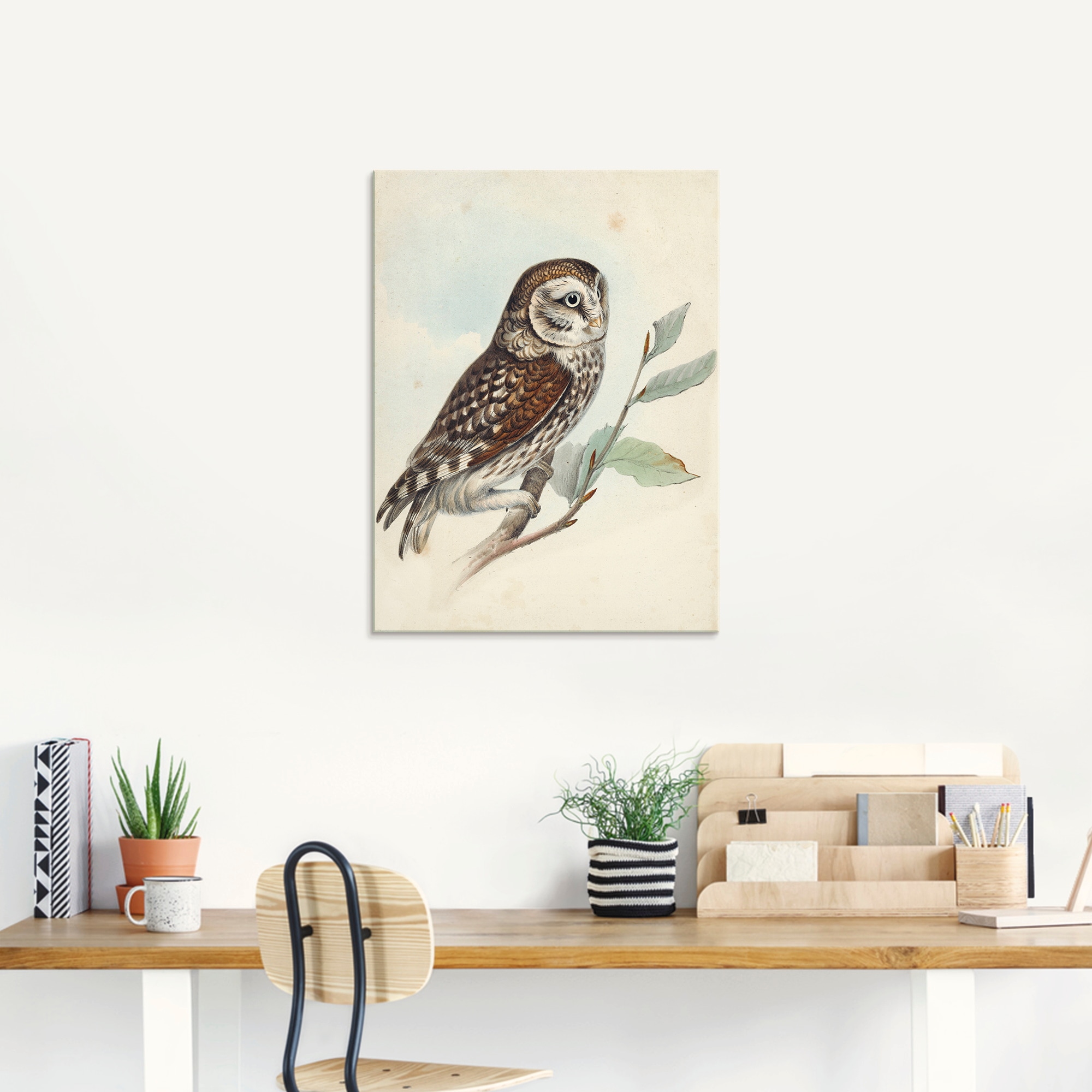 Artland Glasbild »Kleine Eule«, Vögel, (1 St.), in verschiedenen Größen