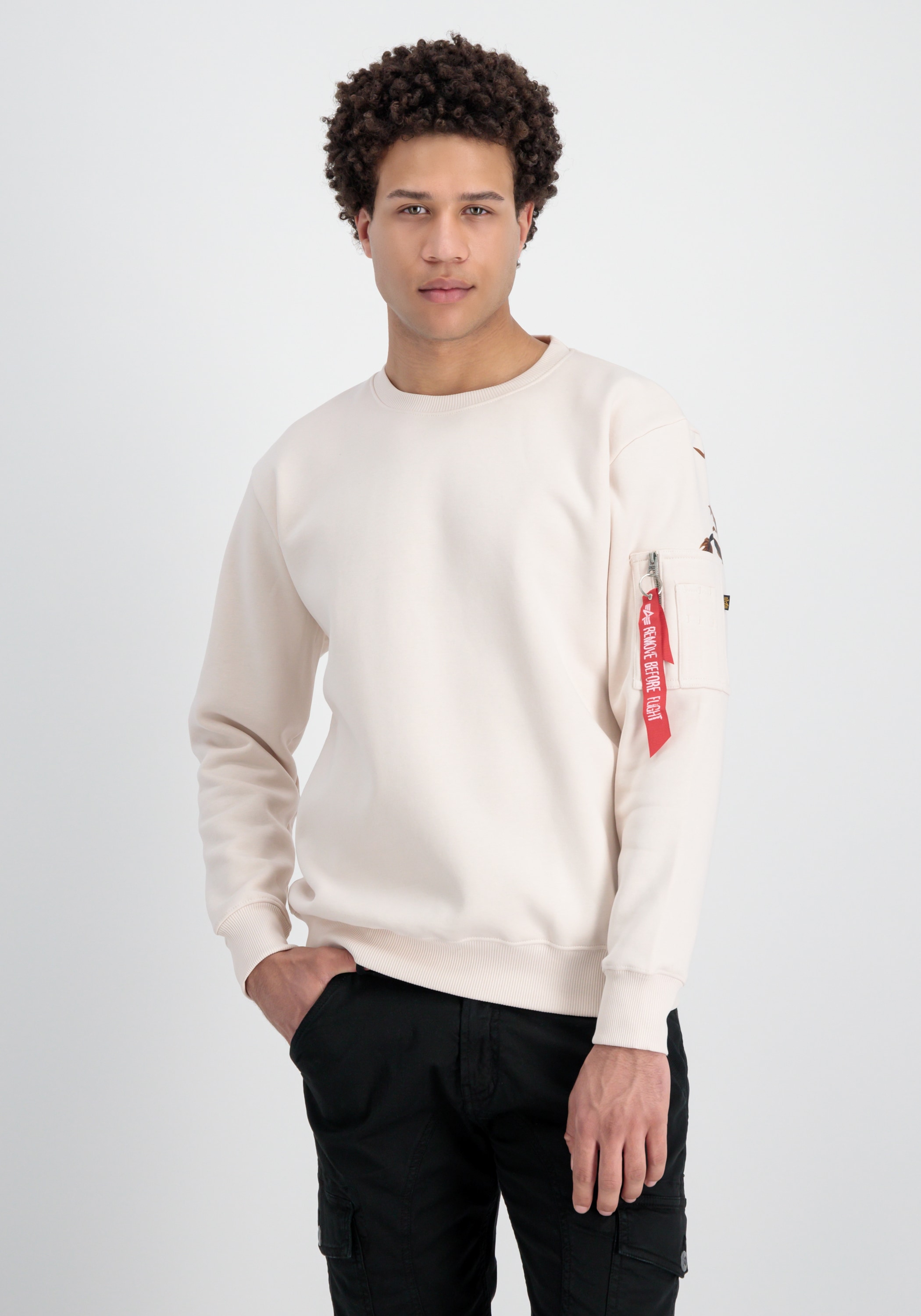 Alpha Industries Sweater »Alpha Industries Men - Sweatshirts Dragon EMB Sweatshirt«
