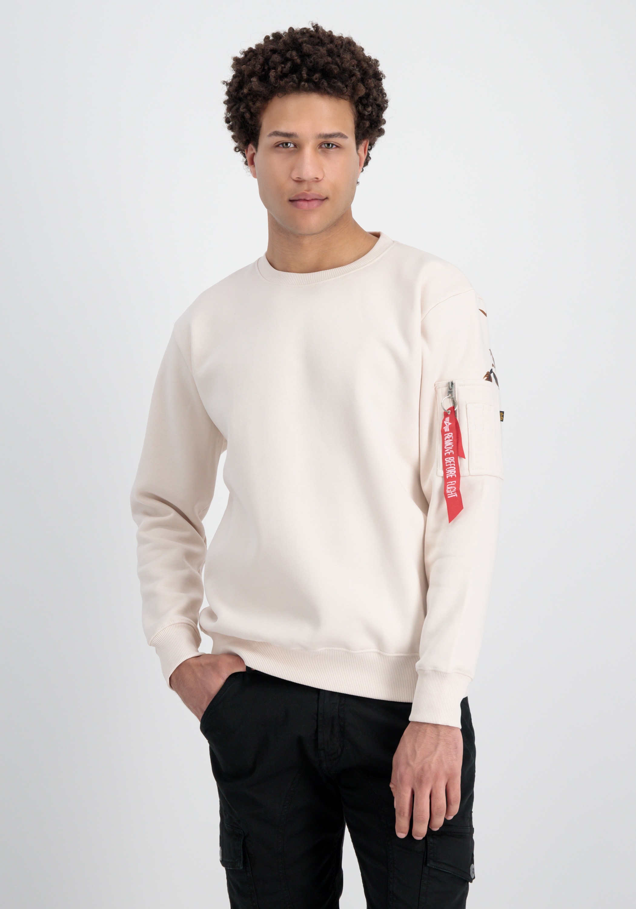 Thumbnail - Alpha Industries Sweater "Dragon EMB Sweatshirt"