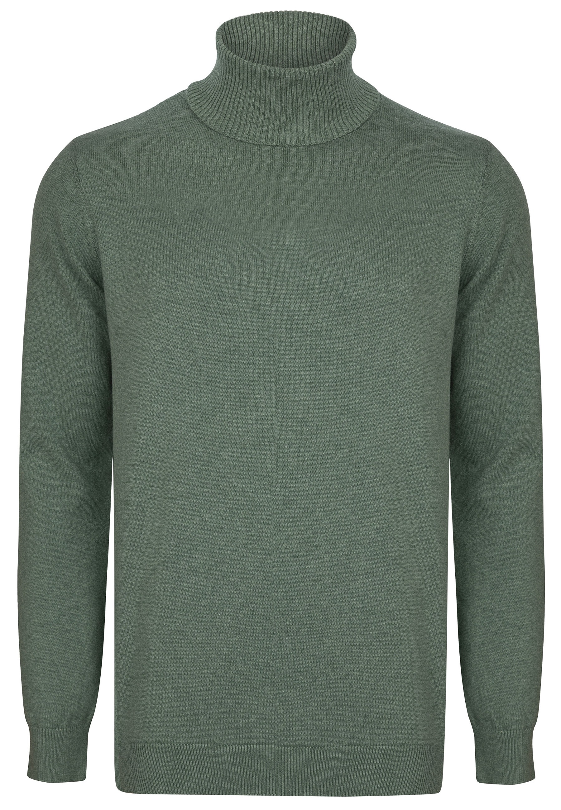 Felix Hardy Rollkragenpullover »Rollkragenpullover«