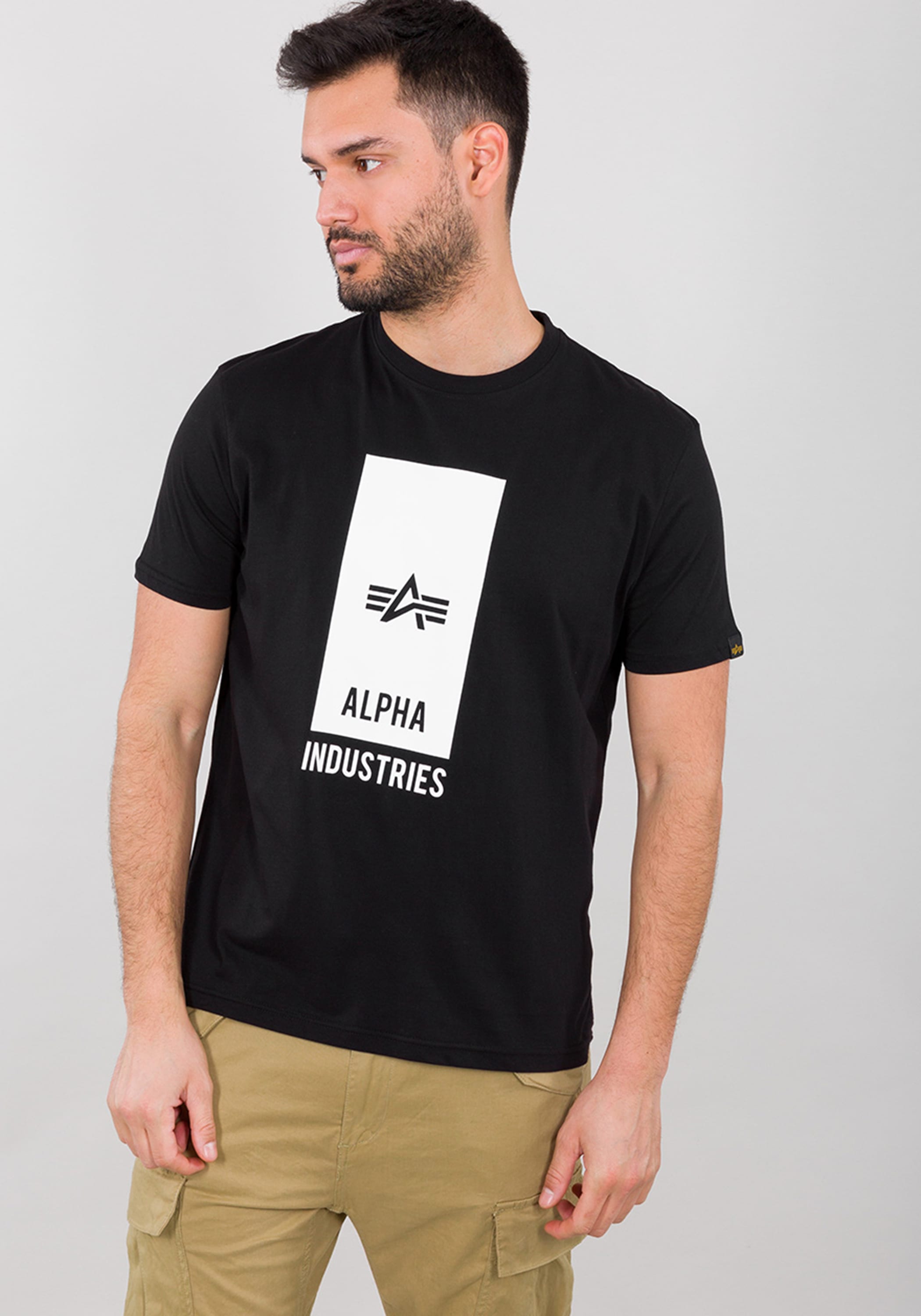 Alpha Industries T-Shirt »Block Logo T-Shirt T-Shirt«