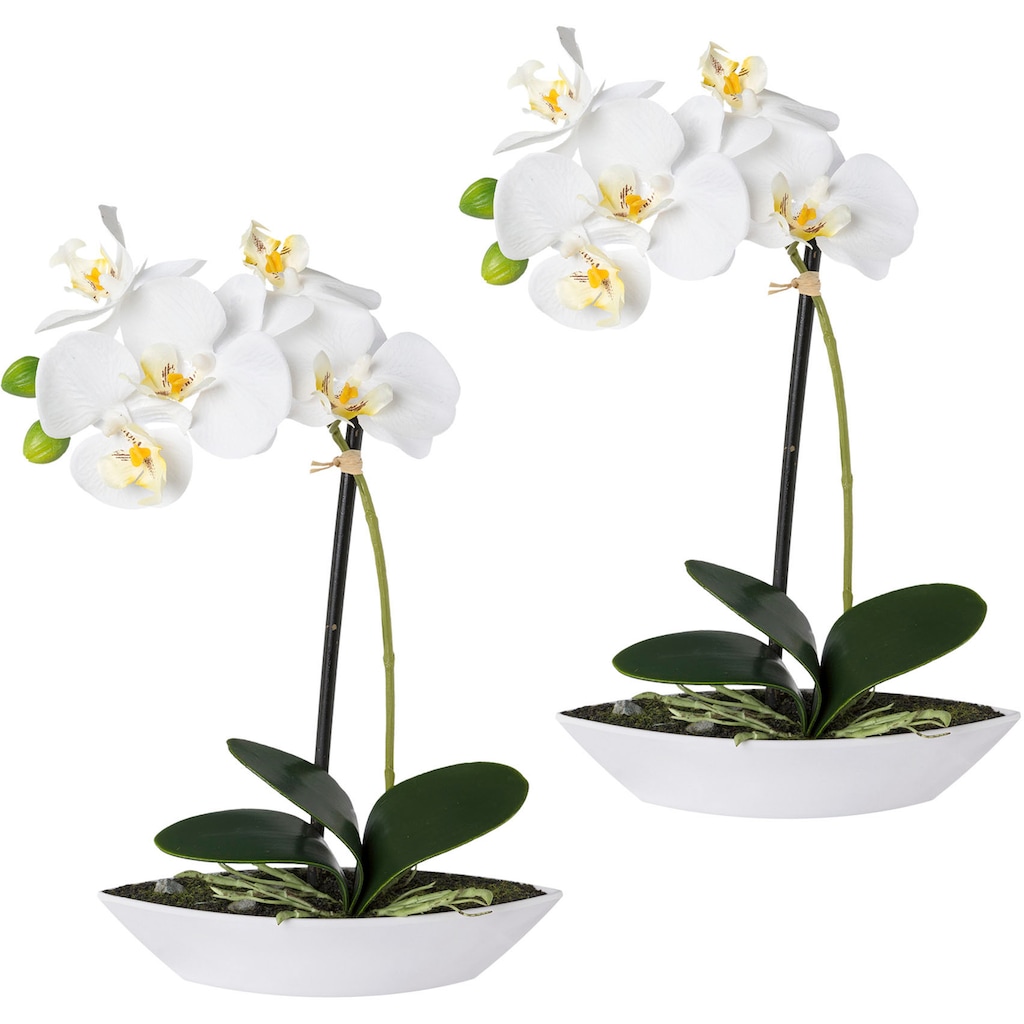 Creativ green Kunstorchidee »Phalaenopsis«