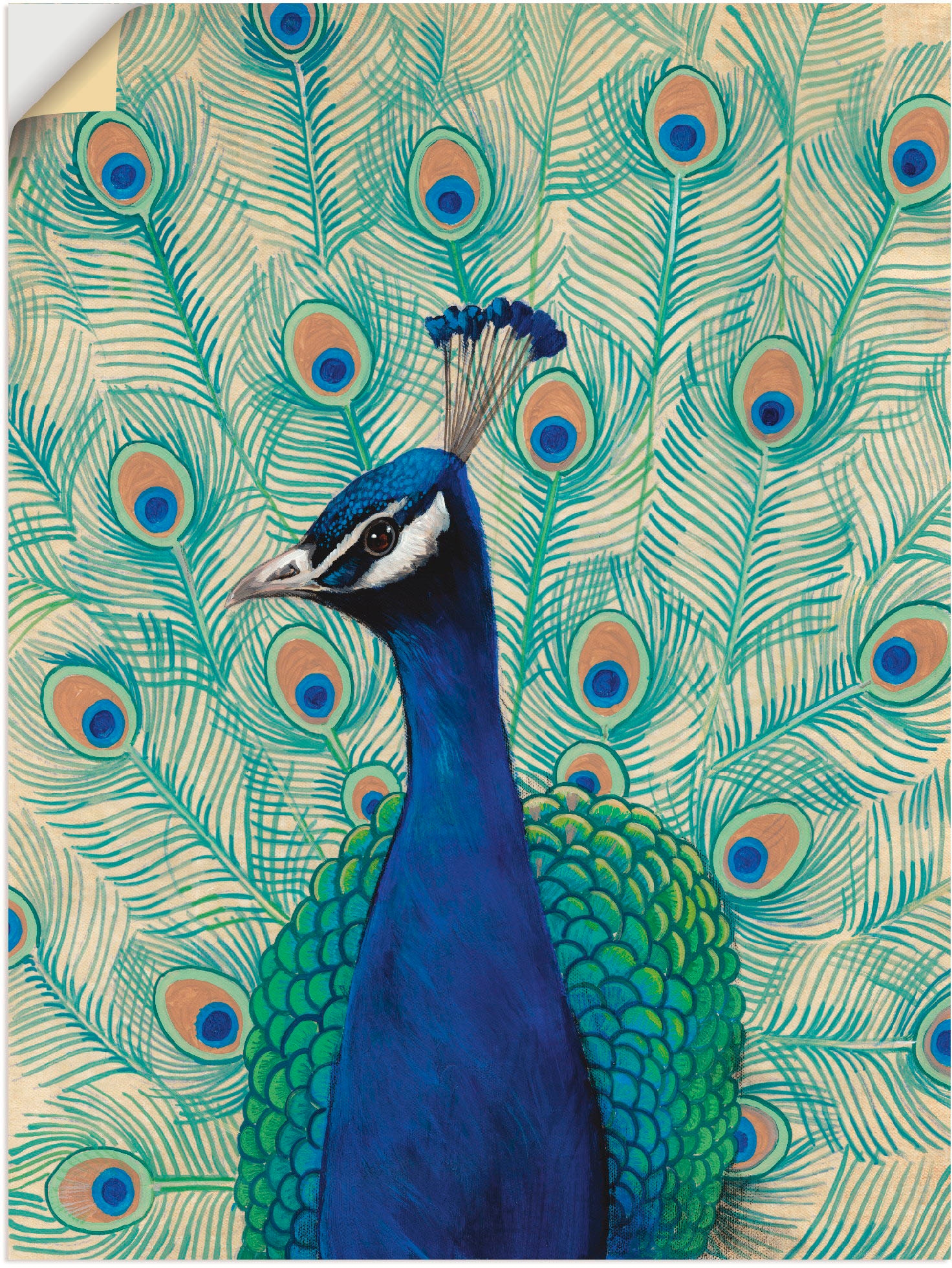 Artland Wandbild »Blauer Pfau II«, Vögel, (1 St.), als Alubild, Leinwandbild,  Wandaufkleber oder Poster in versch. Größen kaufen | BAUR