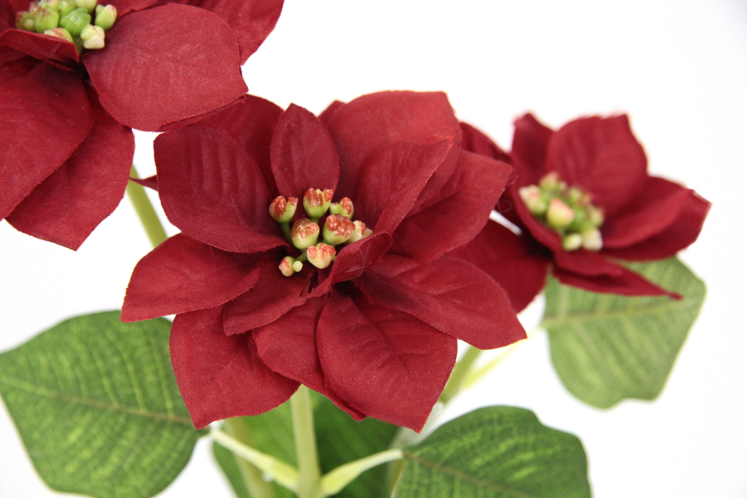 I.GE.A. Kunstblume »Poinsettie«, Künstlicher Poinsettiazweig, 5er Set