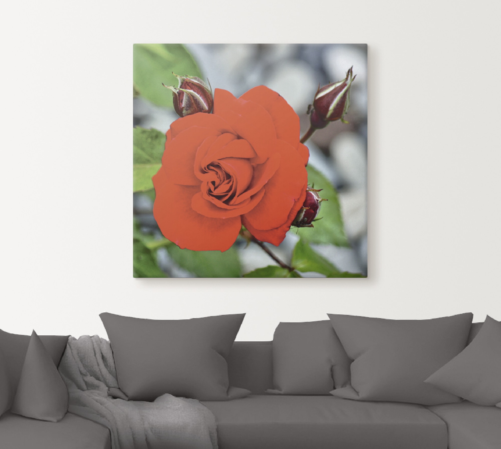 Artland Wandbild »Rote Rosenblüte mit Knospen«, Blumen, (1 St.), als Leinwandbild, Wandaufkleber in verschied. Größen