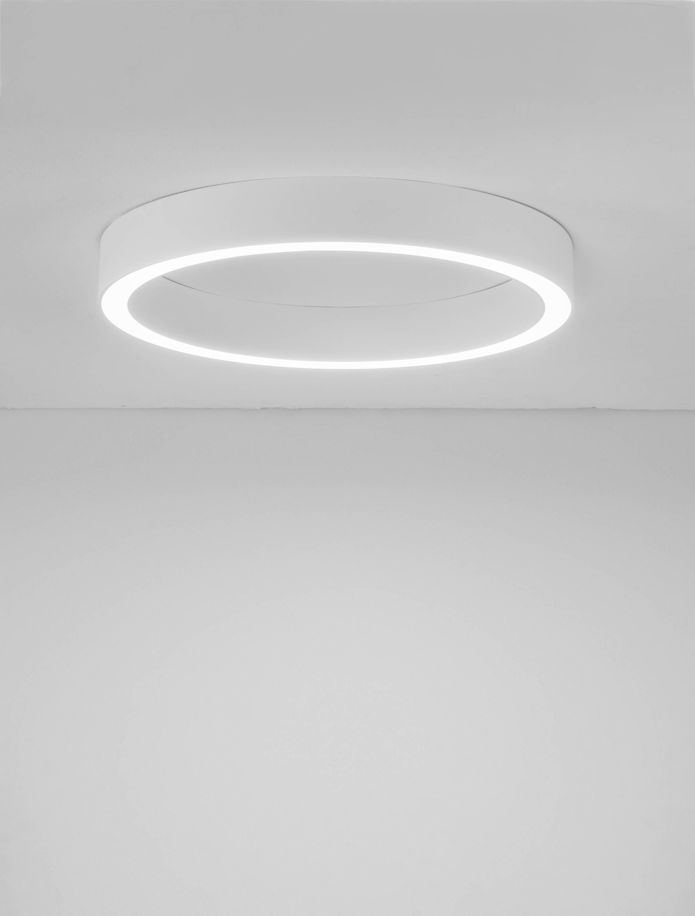 Nova Luce LED Deckenleuchte »STING«, 1 flammig, Leuchtmittel LED-Modul | LED fest integriert