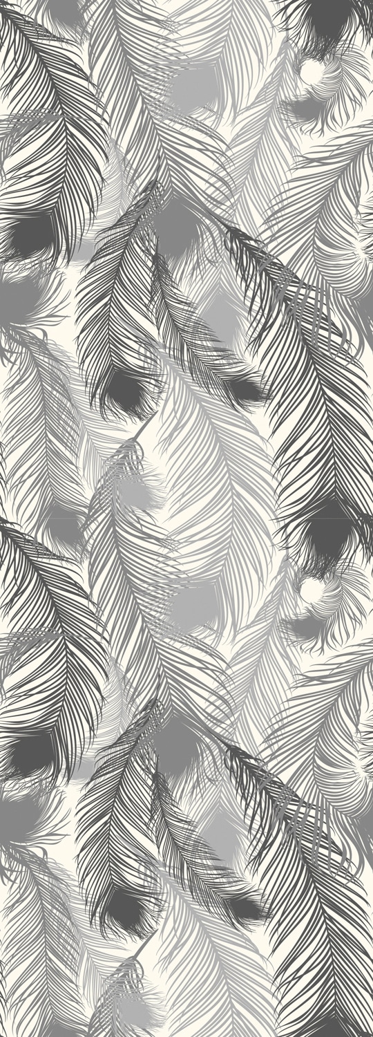queence Vinyltapete »Federn-Grau« 90 x 250 cm ...