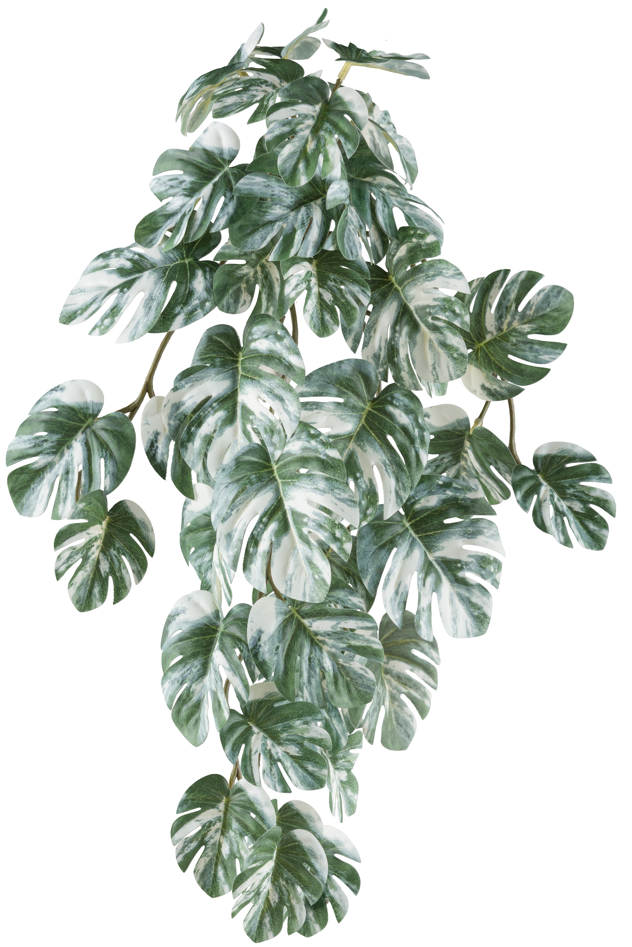 Creativ green Kunstranke »Hängepflanze Splitphilodendron variegata«, mit naturgetreuem Blattwerk