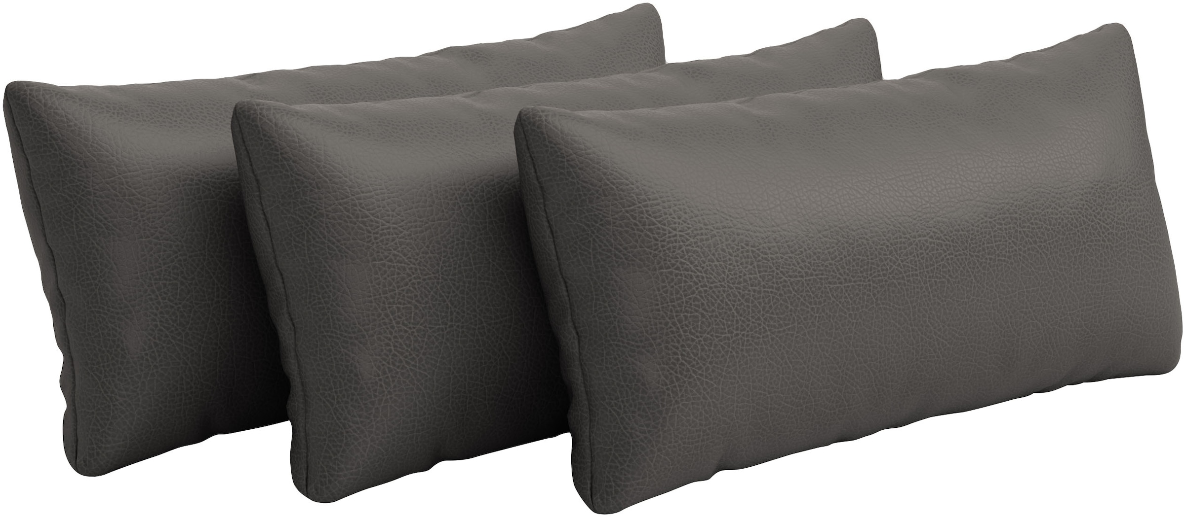 Auflagekissen SIT & MORE, B:65cm H:25cm T:12cm, grau, Polsterauflagen, "Amica", zur Auswahl Sets mit 2 oder 3 Stück