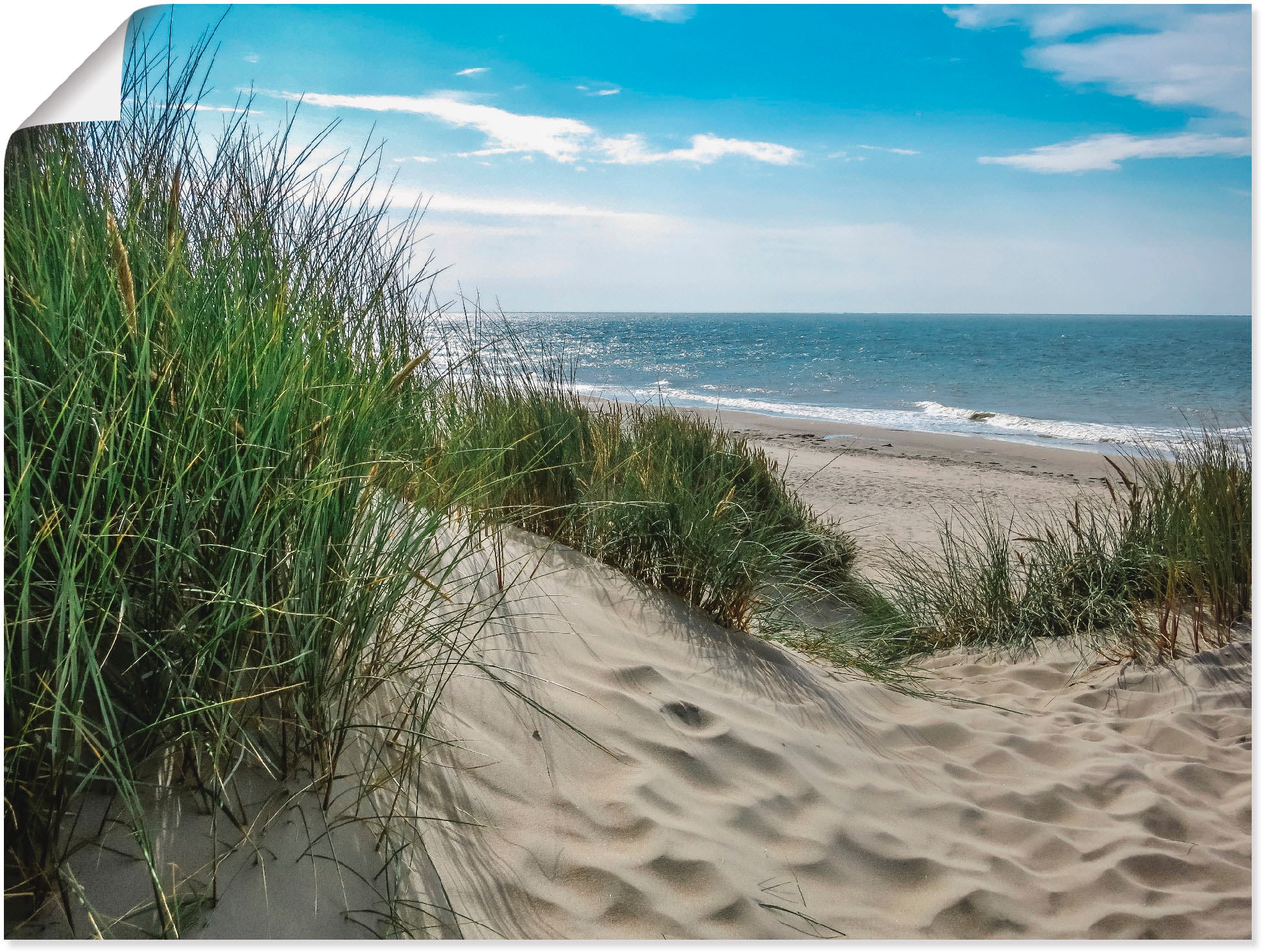 Artland Wandbild "Dünenlandschaft im Sommer an der Nordsee" Strand 1 Stk. t günstig online kaufen