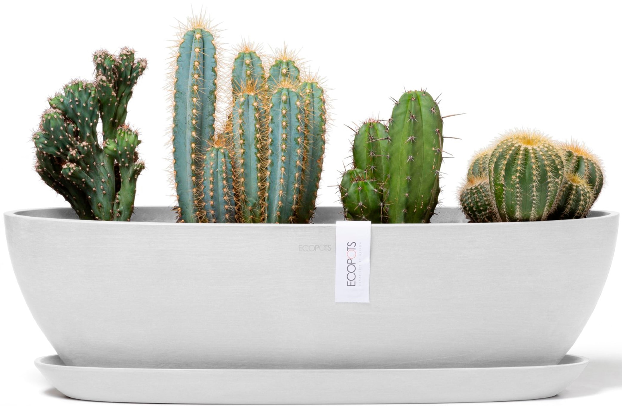 ECOPOTS Blumentopf »Sofia lang 56 Weiß«, für innen und außen: frostsicher, bruchsicher und lichtbeständig