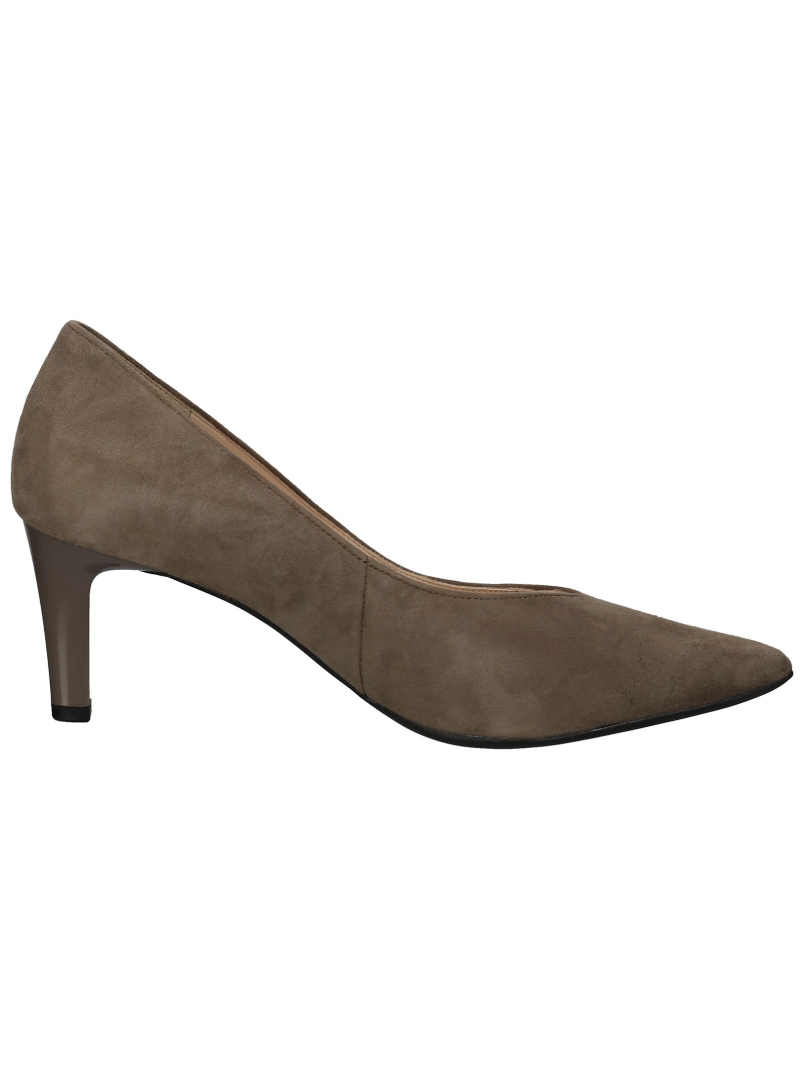 Högl Pumps »Högl Pumps Leder«