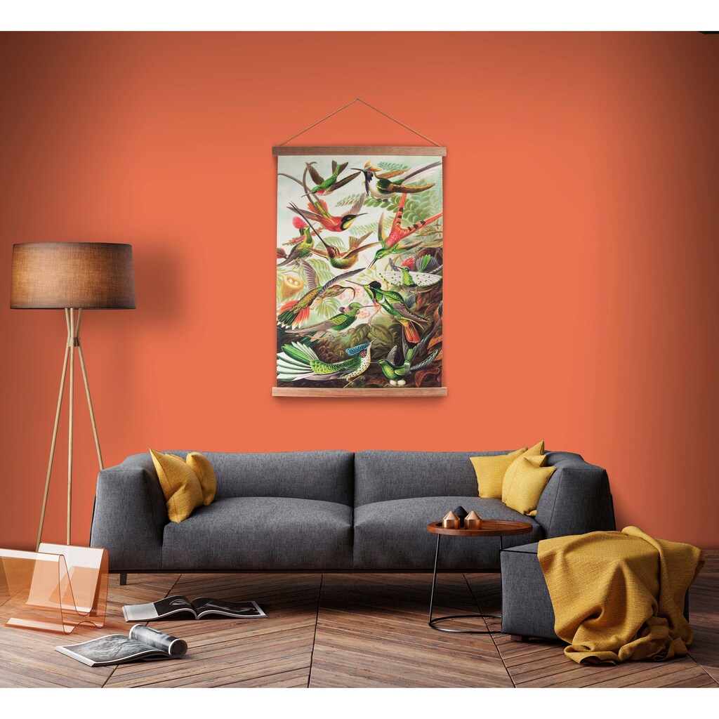 Art for the home Poster »Kolibris«, Vögel