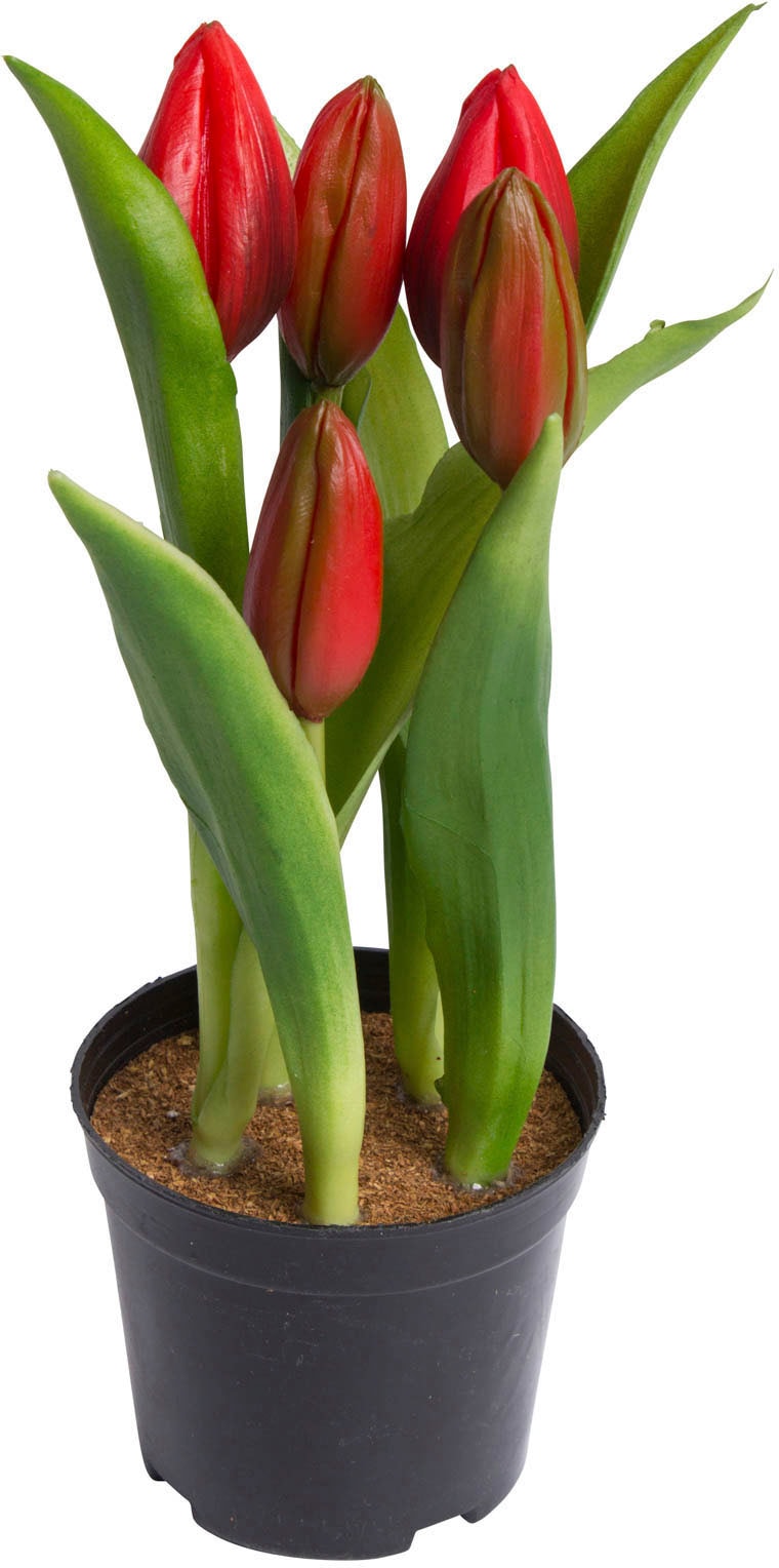 my home Kunstblume "Tulpenpflanze mit 5 Knospen"