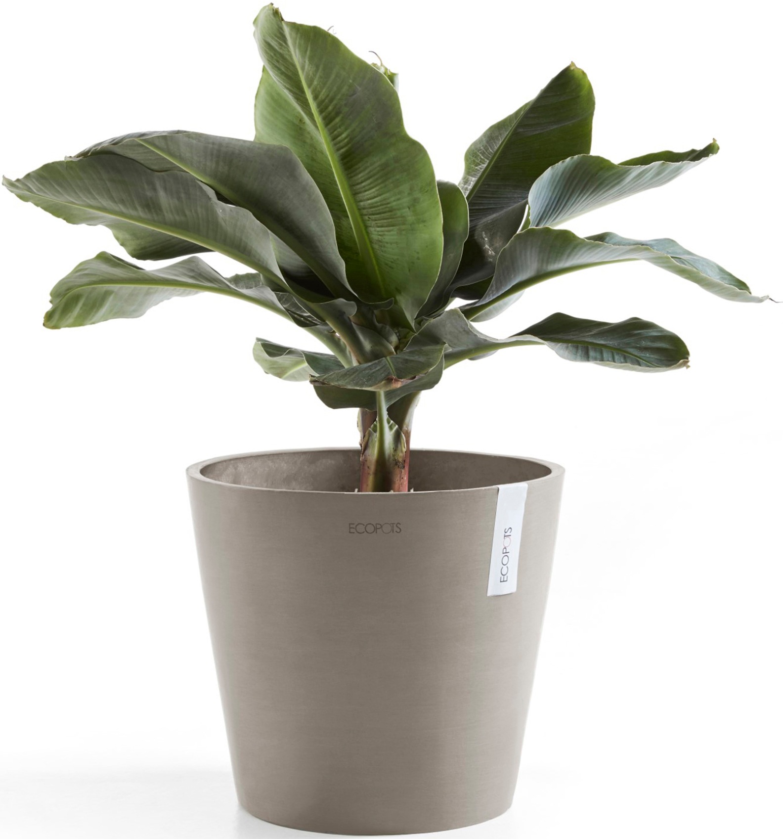 ECOPOTS Blumentopf »Amsterdam 40 + Wassersystem Taupe«, für innen und außen: frostsicher, bruchsicher und lichtbeständig