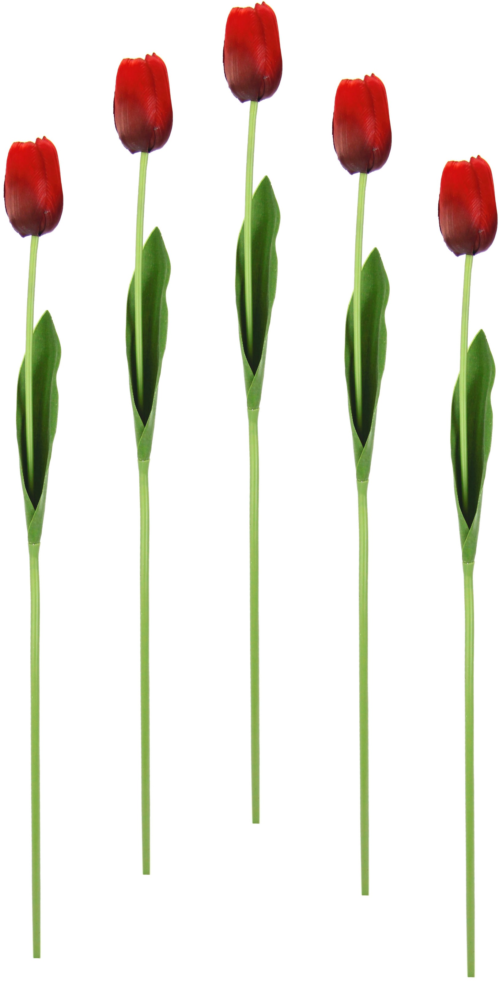 I.GE.A. Kunstblume »Real Touch Tulpen«, 5er Set künstliche Tulpenknospen, Kunstblumen, Stielblume