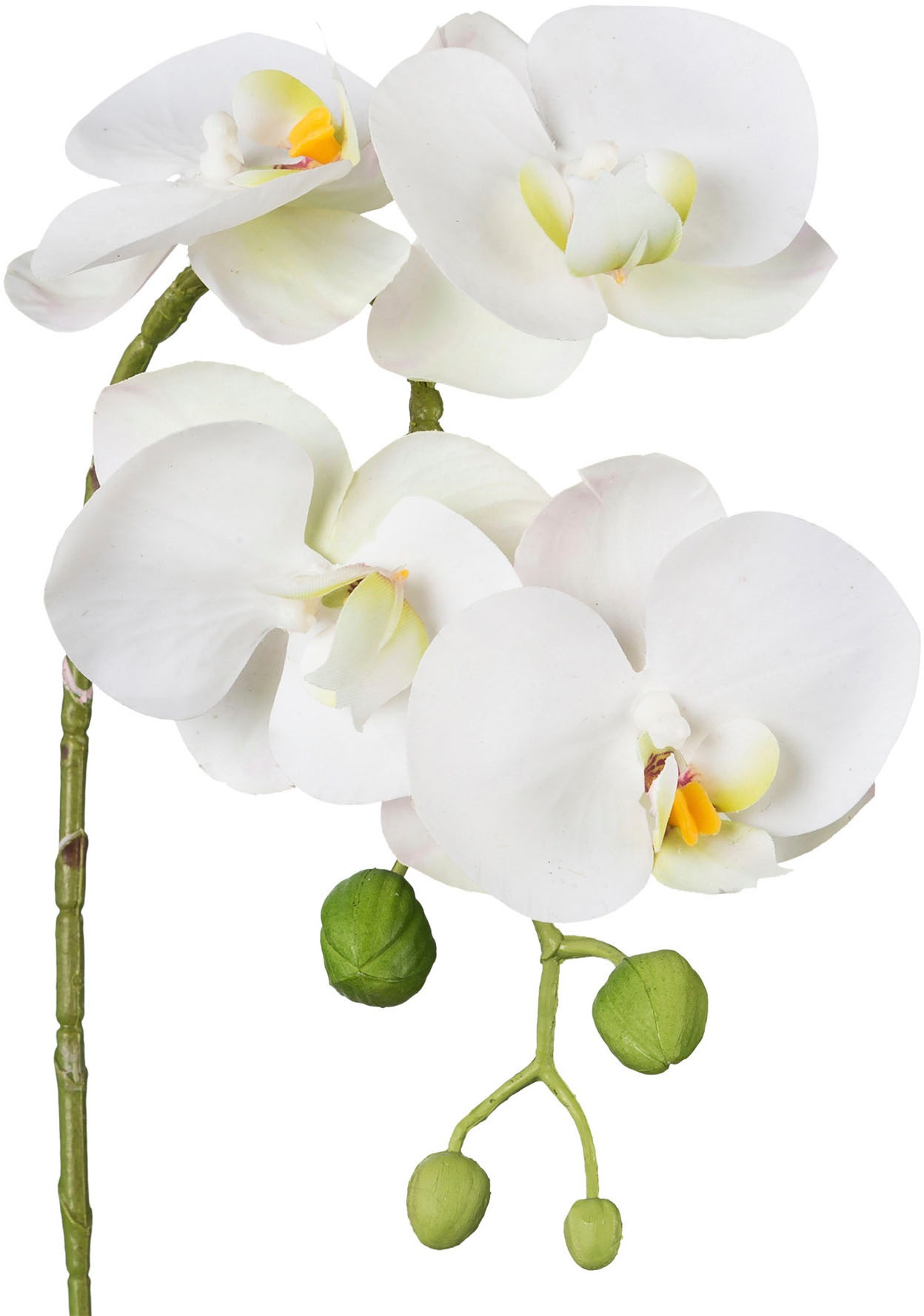 Creativ green Kunstblume »Phalaenopsis 3D-print«, mit Real-Touch-Blüten