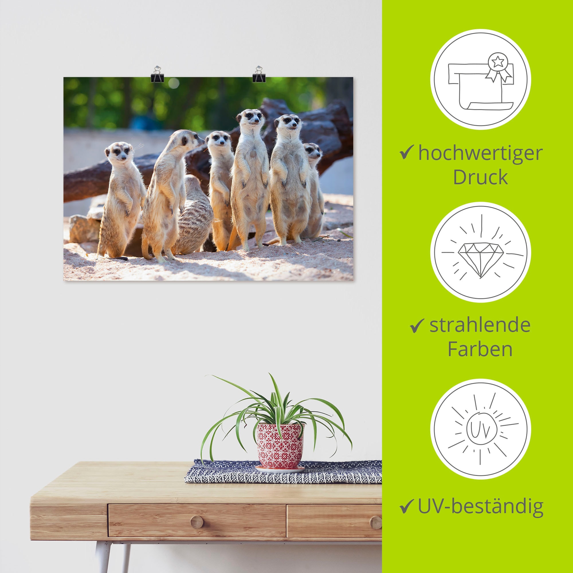 Artland Wandbild »Erdmännchenfamilie«, Wildtiere, (1 St.), als Poster, Wandaufkleber in verschied. Größen