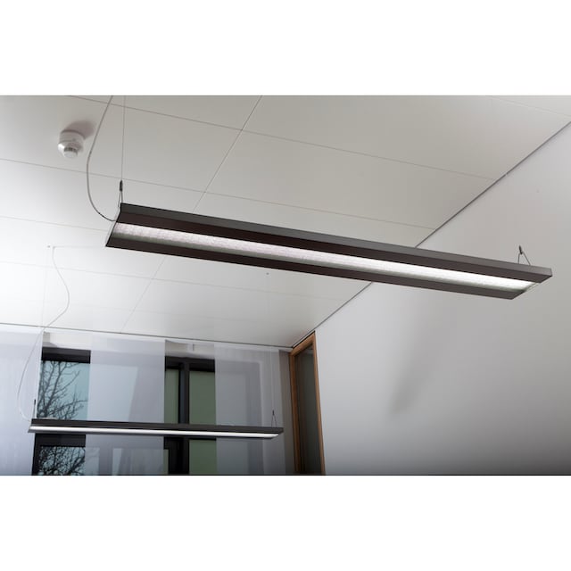 näve LED Pendelleuchte »Bennet«, 1 flammig-flammig, Büro/Arbeitszimmer  silber Lichtfarbe kaltweiß L: 80cm B: 30cm | BAUR