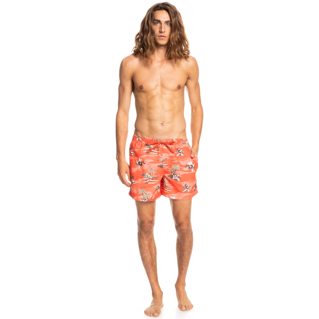 Quiksilver Boardshorts »Everyday Scenic 15"«