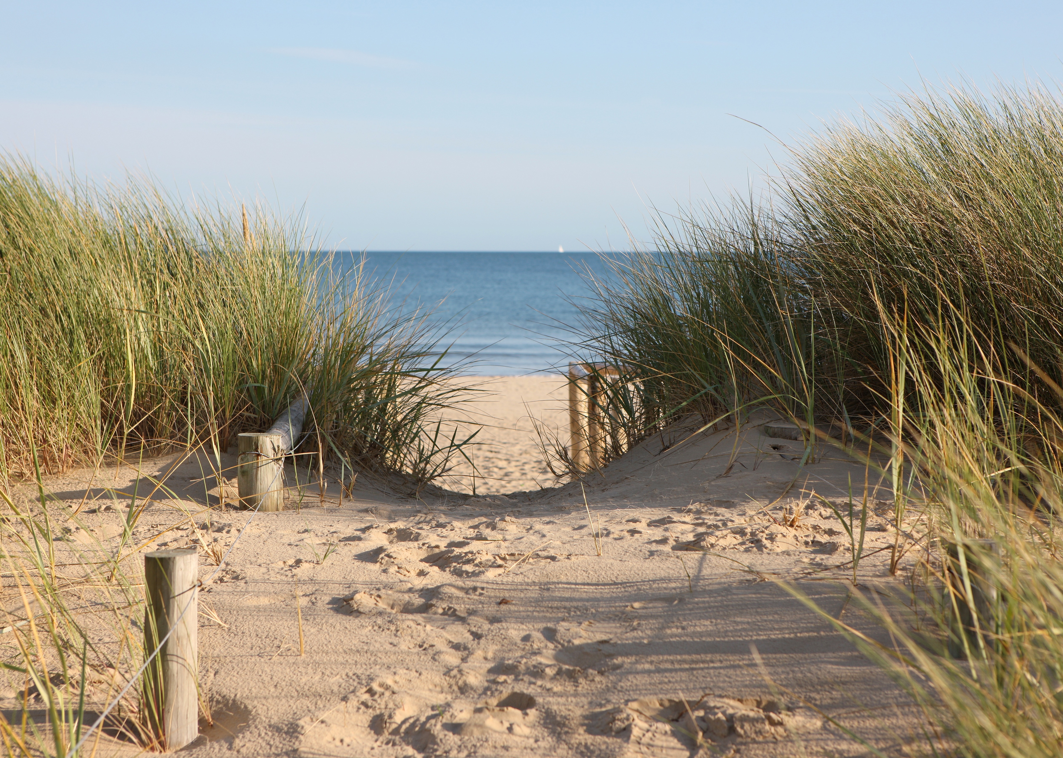 Papermoon Fototapete "Dunes in Dorset" glatt
