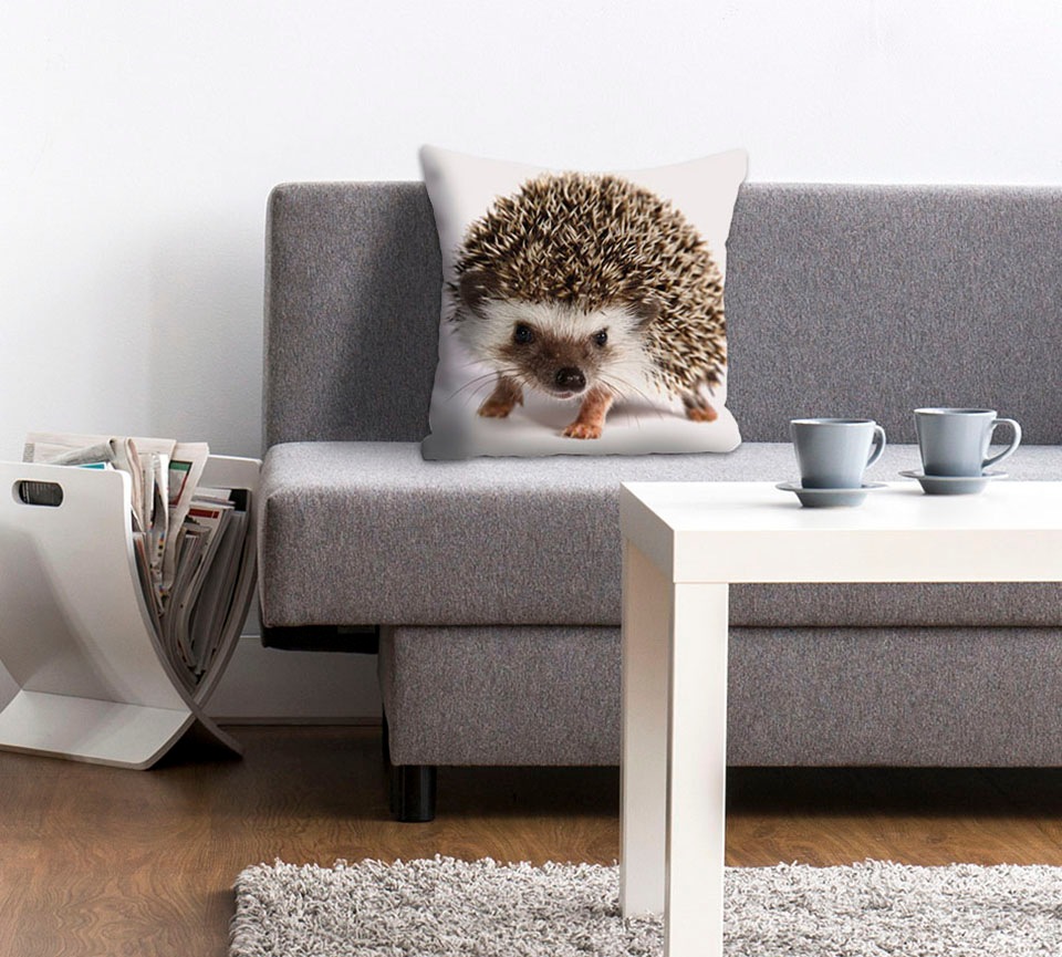 queence Dekokissen "Veit" Kissenhülle,Igel,Süß,Tiermotiv,Niedlich,Naturmotiv,Verspielt