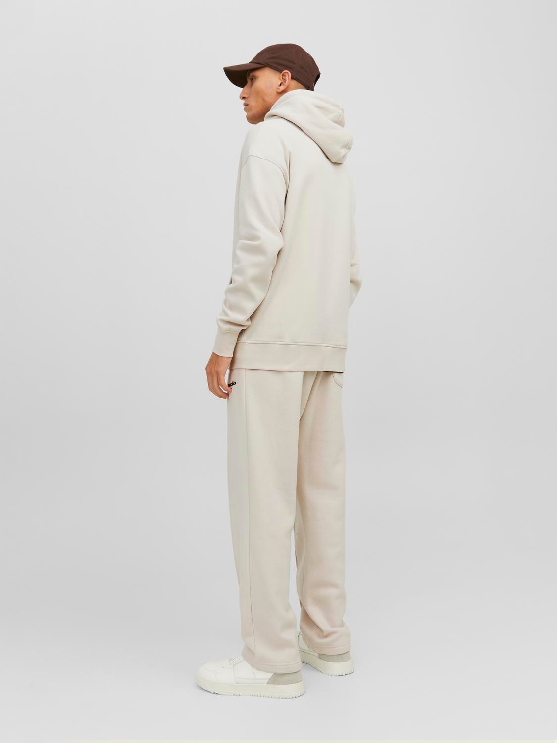 Jack & Jones Sweatshirt »JORVESTERBRO SWEAT ZIP HOOD NOOS«