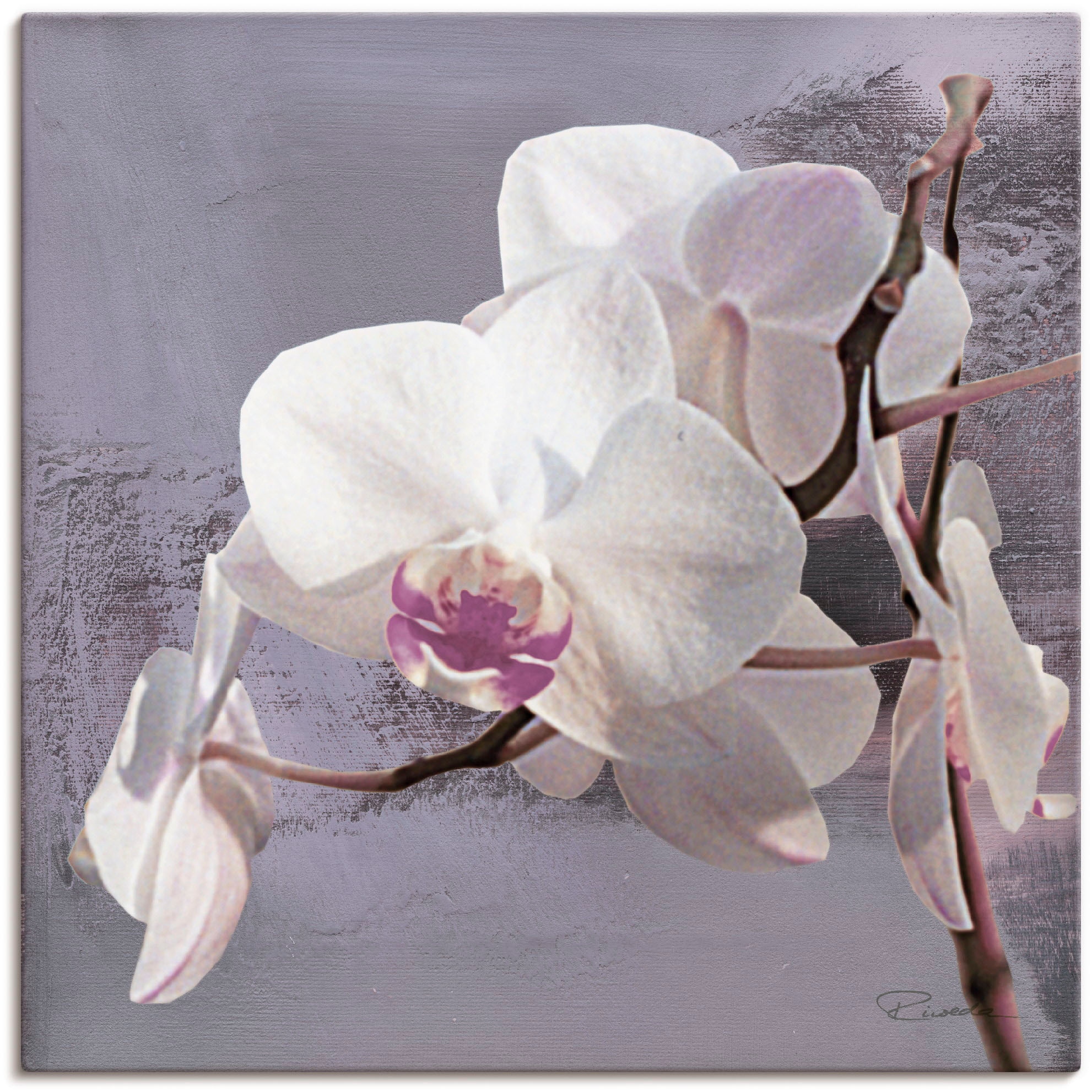 Artland Wandbild "Orchideen vor Violett I", Blumen, (1 St.), als Alubild, O günstig online kaufen