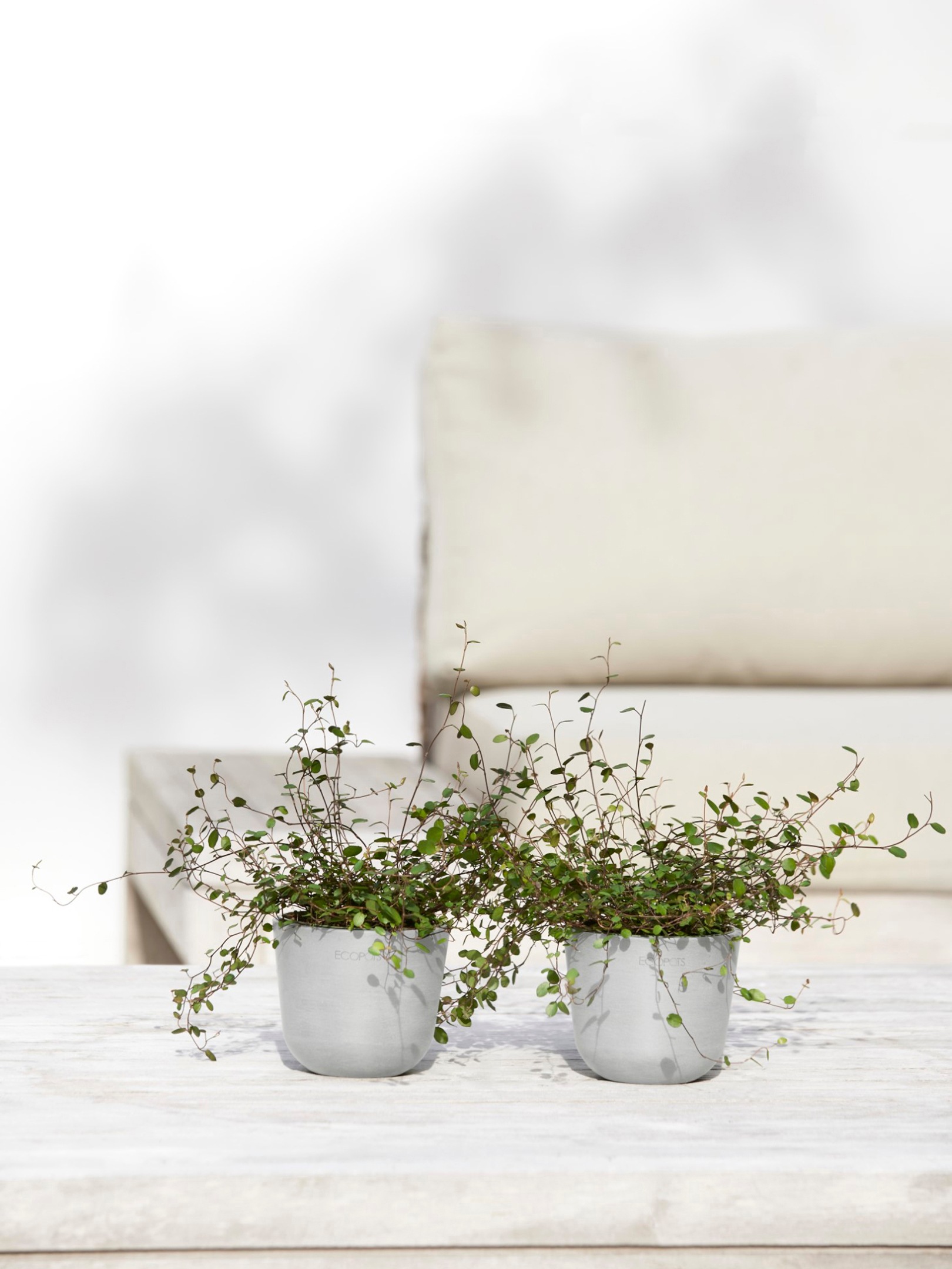 ECOPOTS Blumentopf »Oslo Mini 11,5 Weißgrau«, für den Innenbereich