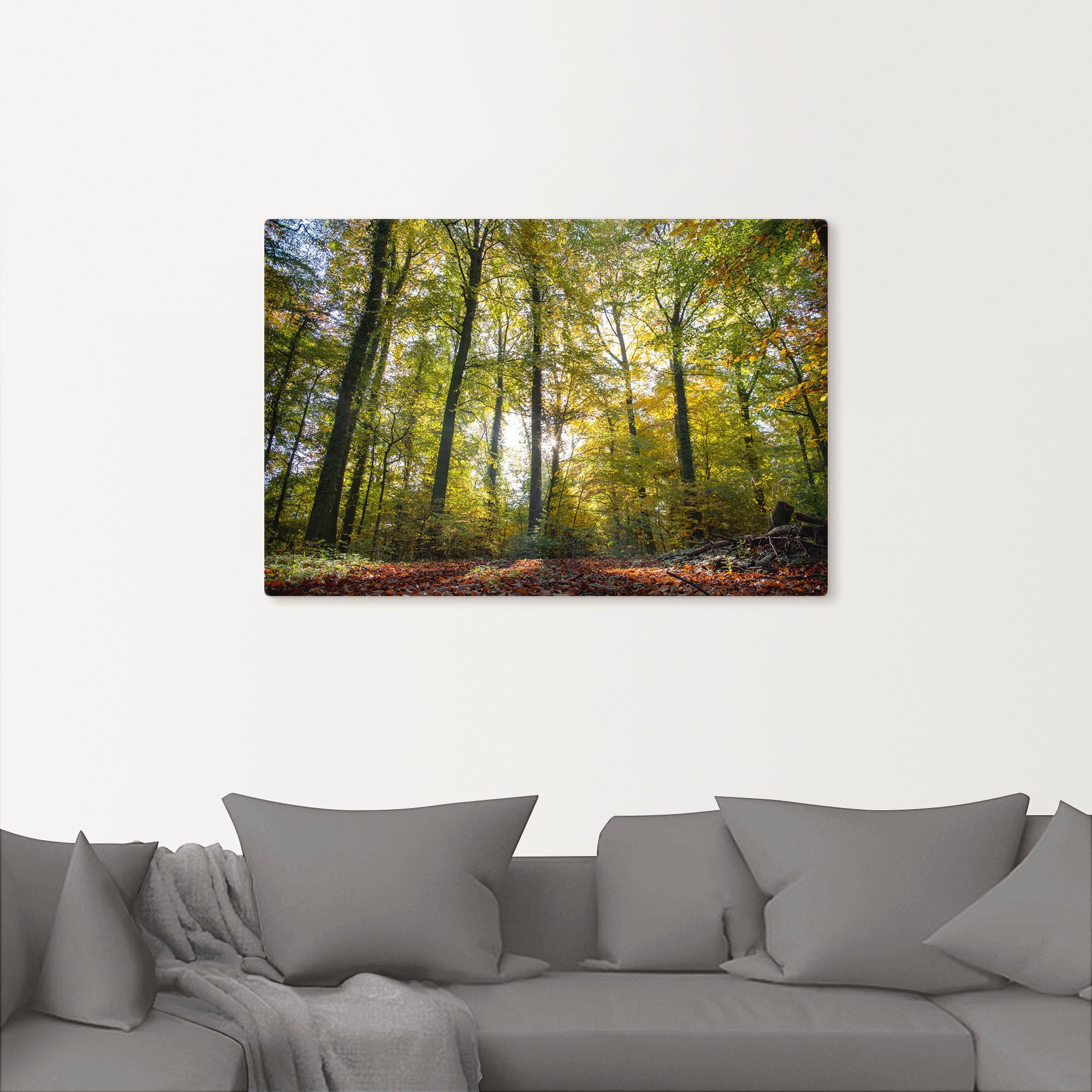 Artland Leinwandbild "Laubwald zum Herbst" Waldbilder 1 Stk. tlg. auf Keilr günstig online kaufen