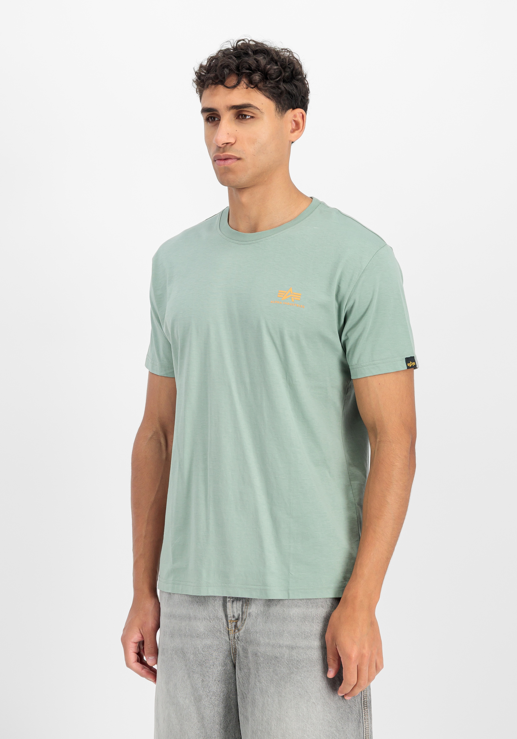 Alpha Industries Backprint T-Shirt Frost Green M 6