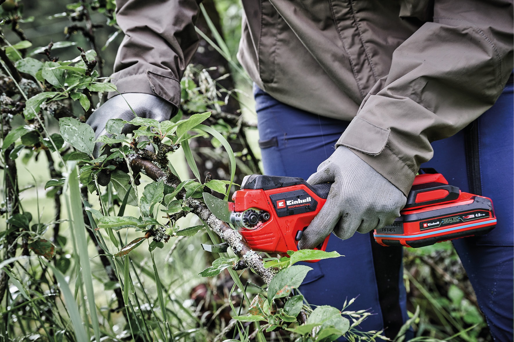 Einhell Akku-Astschere Professional GP-LS 18/28 Li T BL-Solo günstig online kaufen