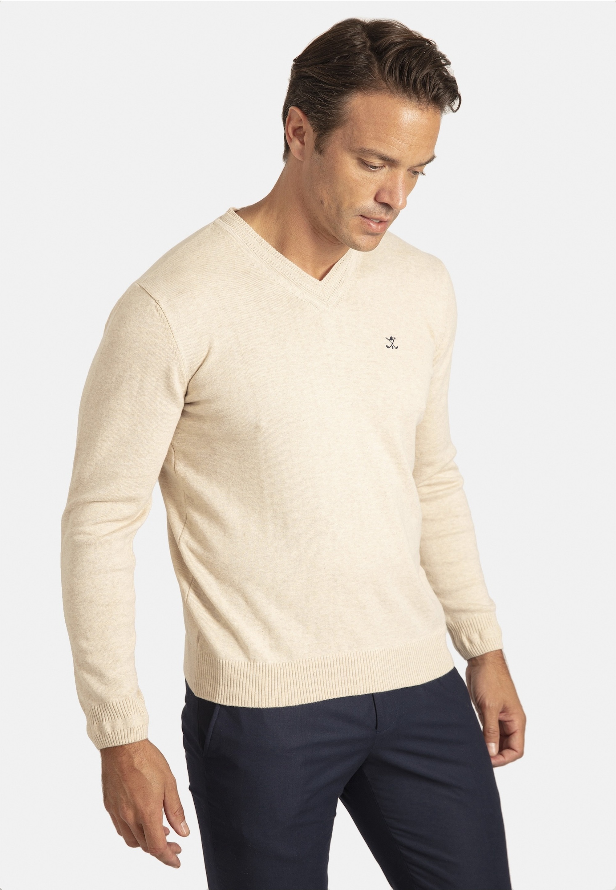 SIR RAYMOND TAILOR Strickpullover »Los Angeles«, (1 tlg.), mit klassischem V-Ausschnitt