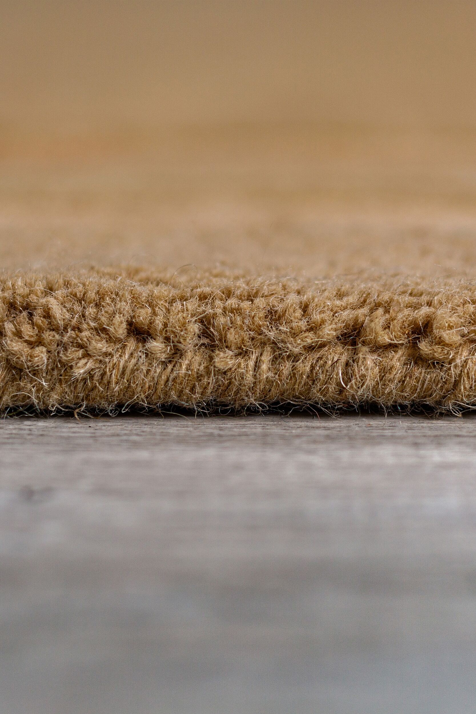 FLAIR RUGS Teppich »Gatsby«, rechteckig, 8 mm Höhe, mit Bordürendesign