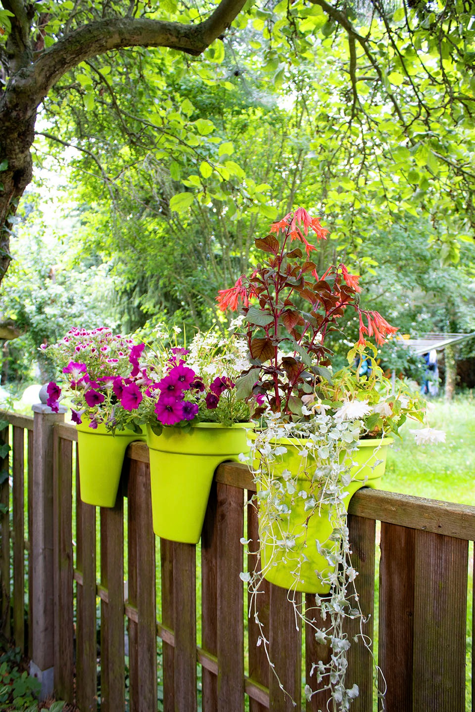 Thumbnail - KHW Balkonkasten "Flowerclip" Ø 27 cm