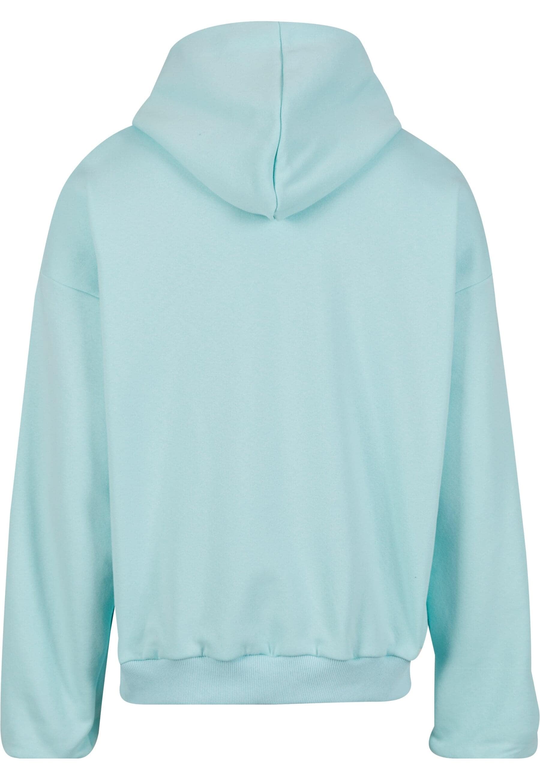 Karl Kani Kapuzensweatshirt »Karl Kani Karl Kani Kani Street Academy OS Hoodie«, (1 tlg.)