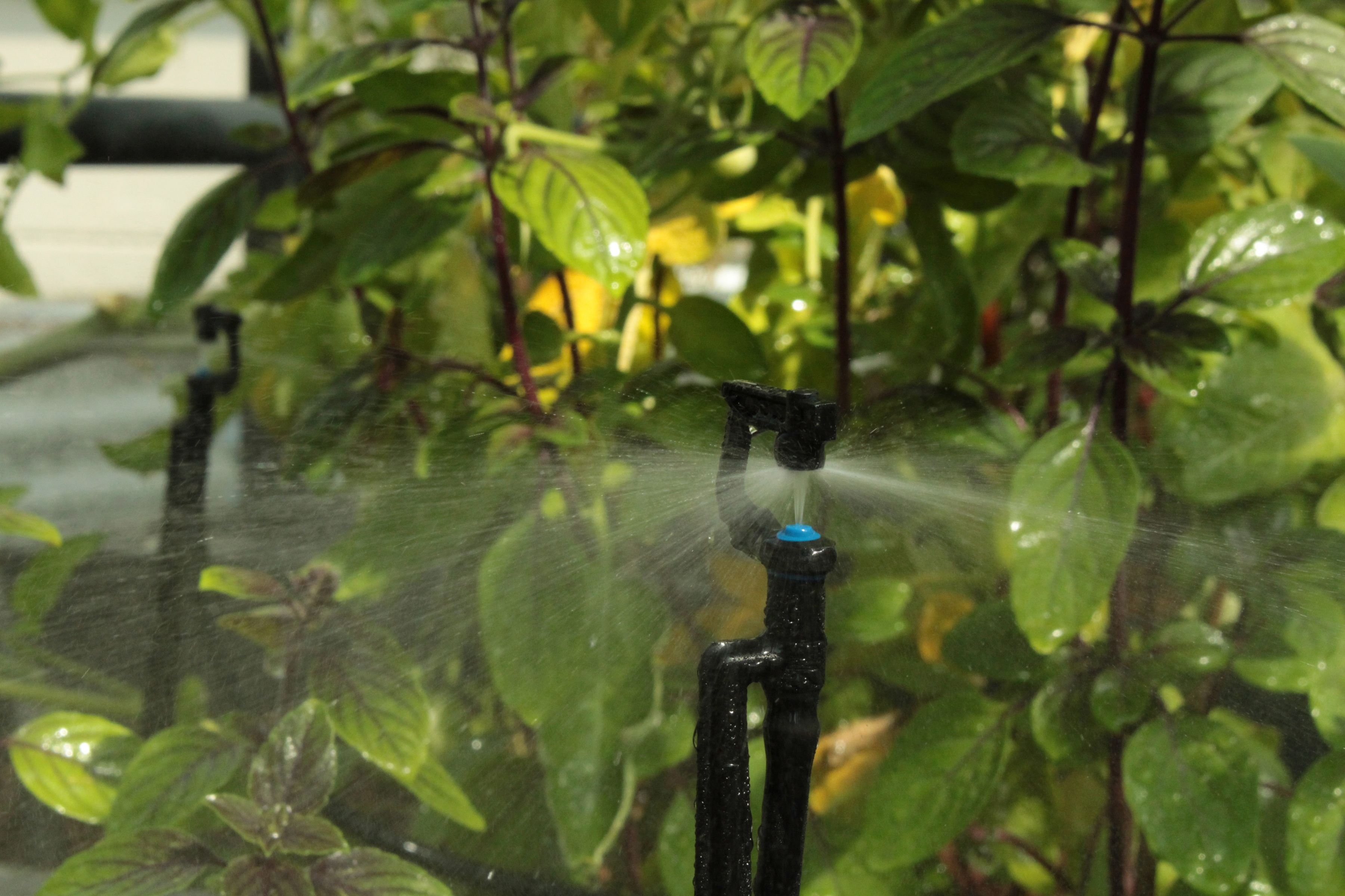 Vitavia Bewässerungssystem MGS48, 5 bis 8 m² grün Bewässerungssysteme Bewässerung Garten Balkon