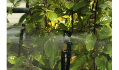 Vitavia Bewässerungssystem »MGS48«, Bewässerungssystem 5 bis 8 m² kaufen