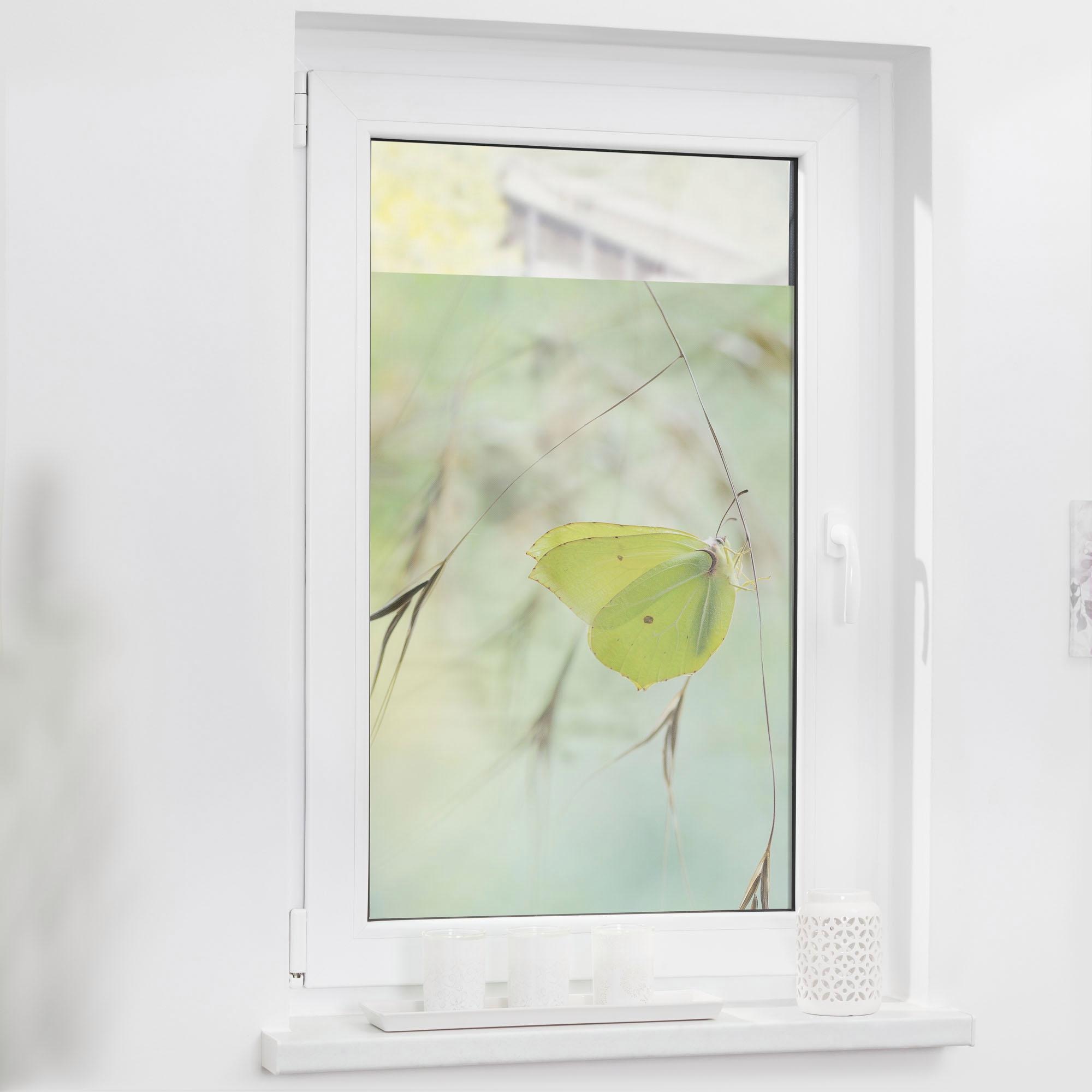 LICHTBLICK ORIGINAL Fensterfolie "Schmetterling Grün" 1 Stk. blickdicht str günstig online kaufen
