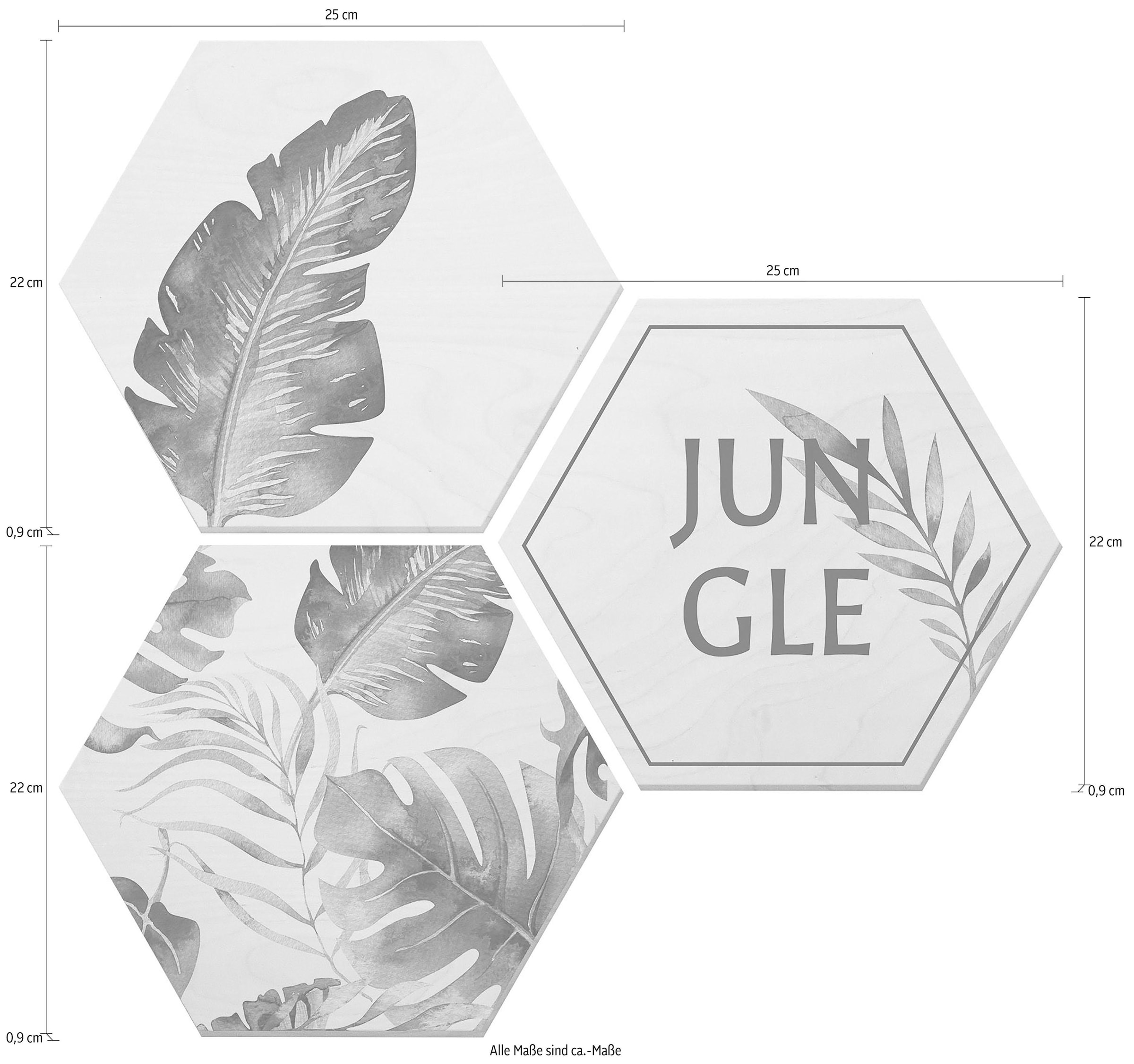 Black Friday Wall-Art Alu-Dibond-Druck »Kvilis - Jungle«, (Set) | BAUR