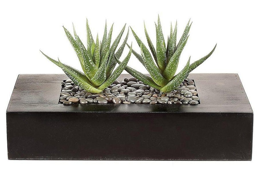 Thumbnail - Creativ green Kunstkaktus