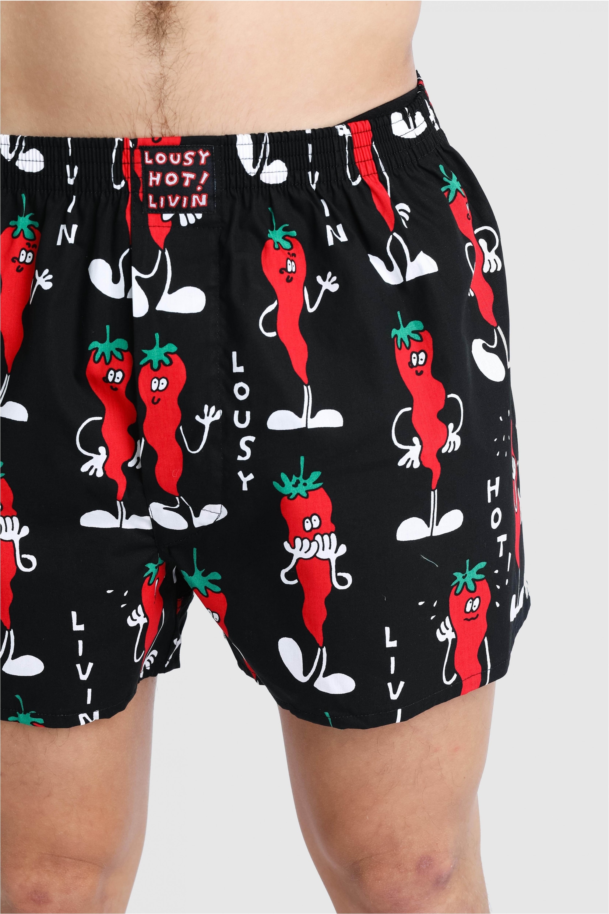 Lousy Livin Boxershorts »Pizza & Chilli« mit buntem Allover-Print