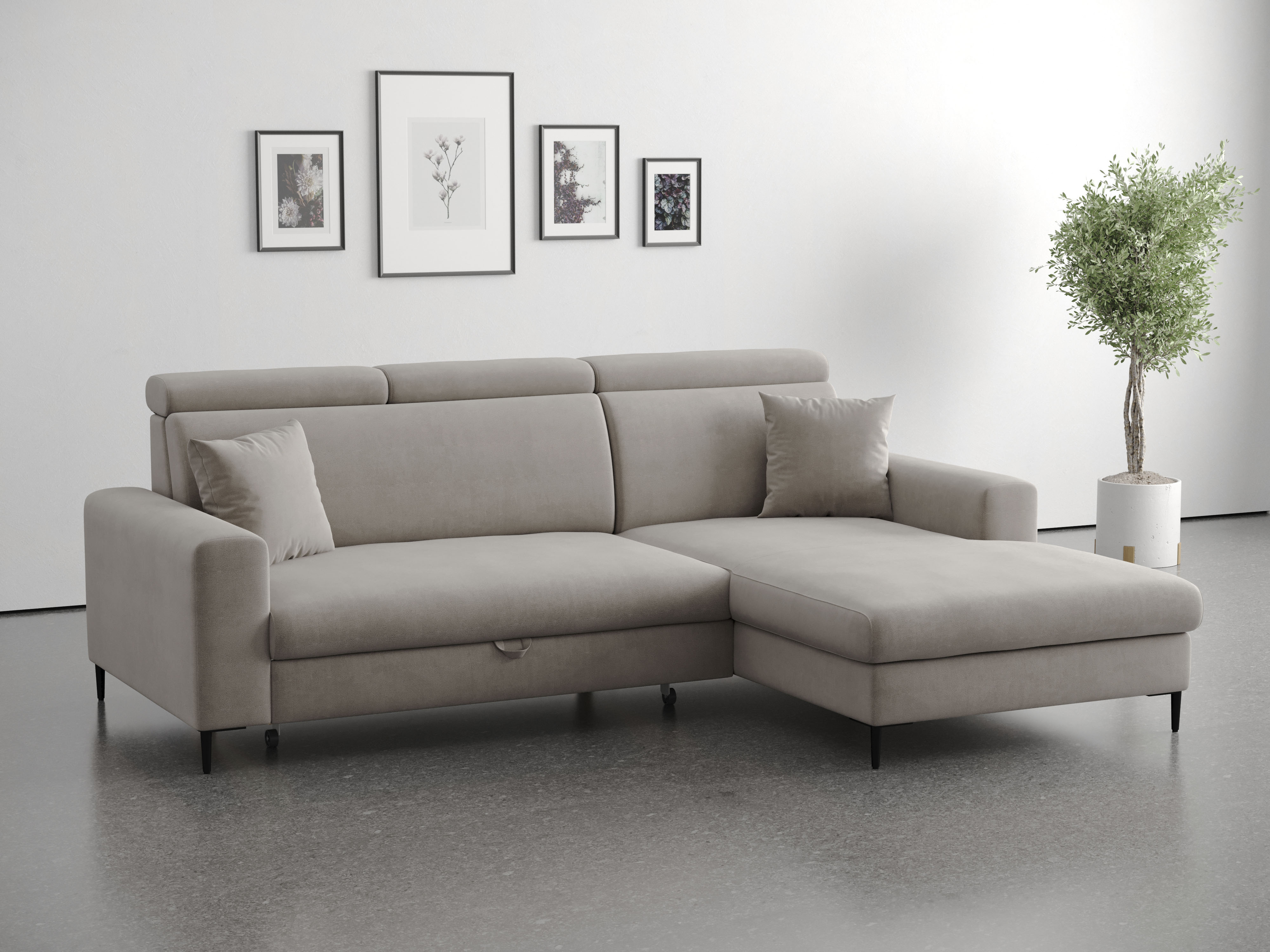 Trends by HG Ecksofa "Nizza, L-Form, B: 250cm" mit Schlaffunktion und Bettkasten