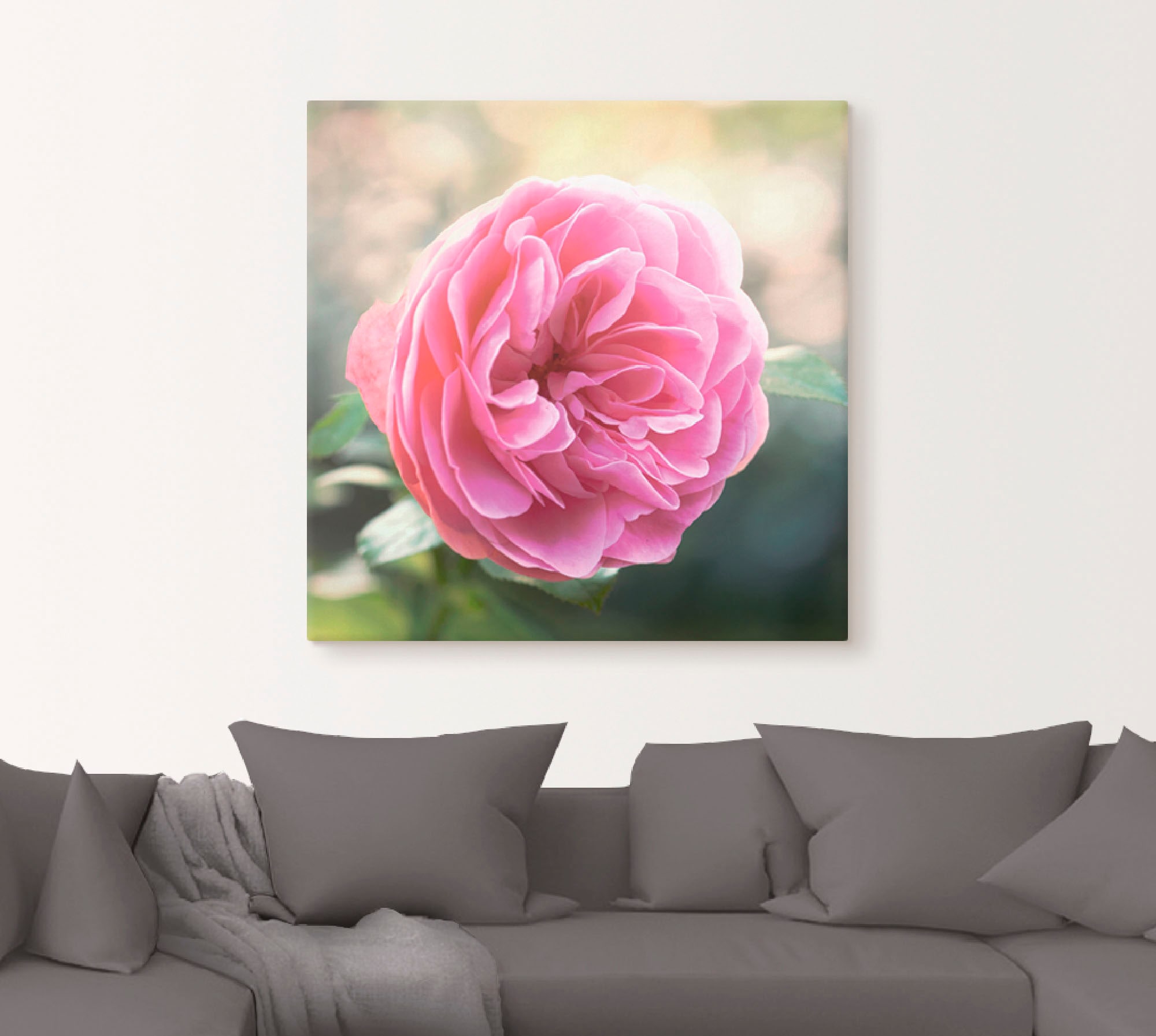 Artland Wandbild »Rosa Rose im Gegenlicht«, Blumen, (1 St.), als Leinwandbild in verschied. Größen