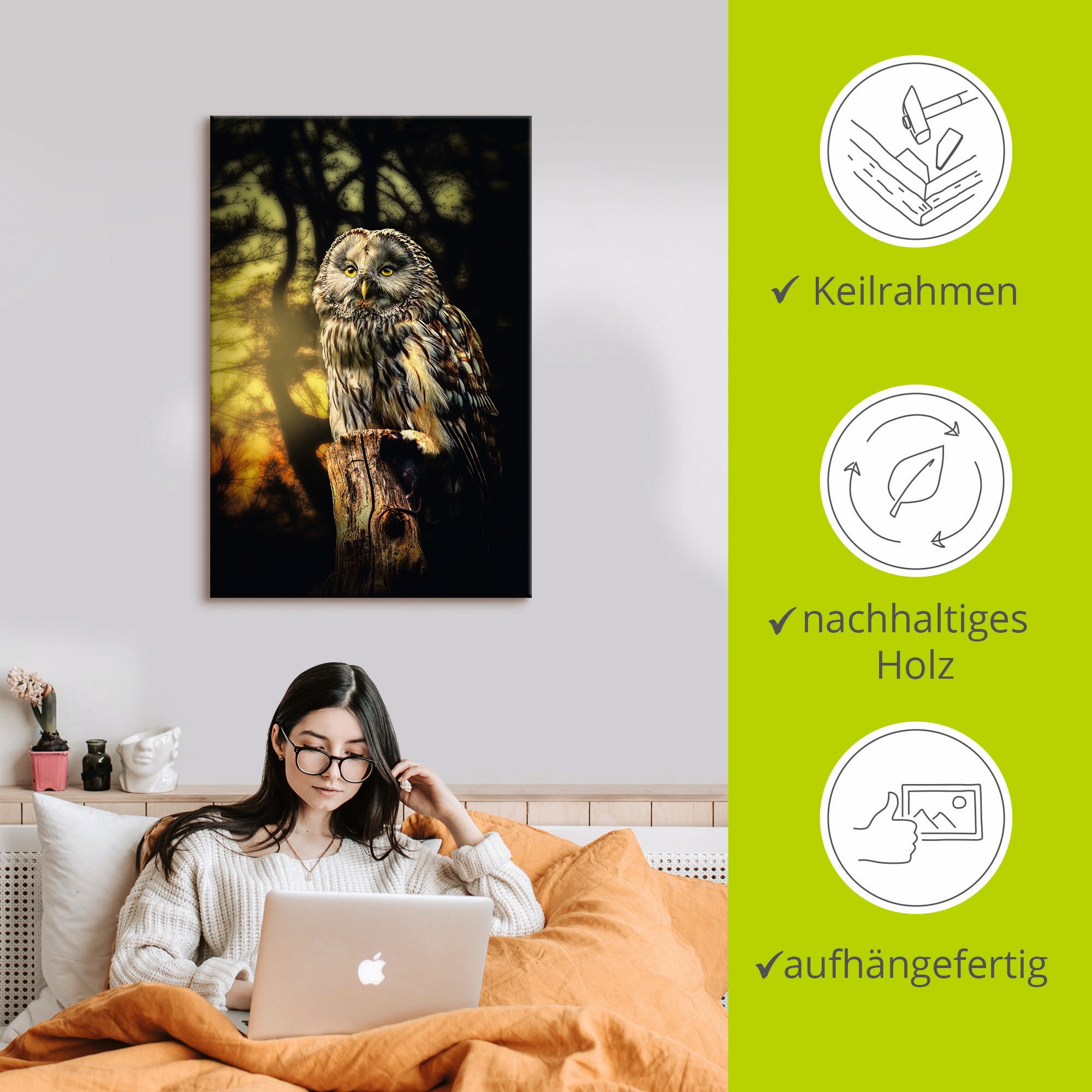 Artland Wandbild »Eule«, Vögel, (1 St.), als Alubild, Outdoorbild, Leinwandbild, Poster in verschied. Größen