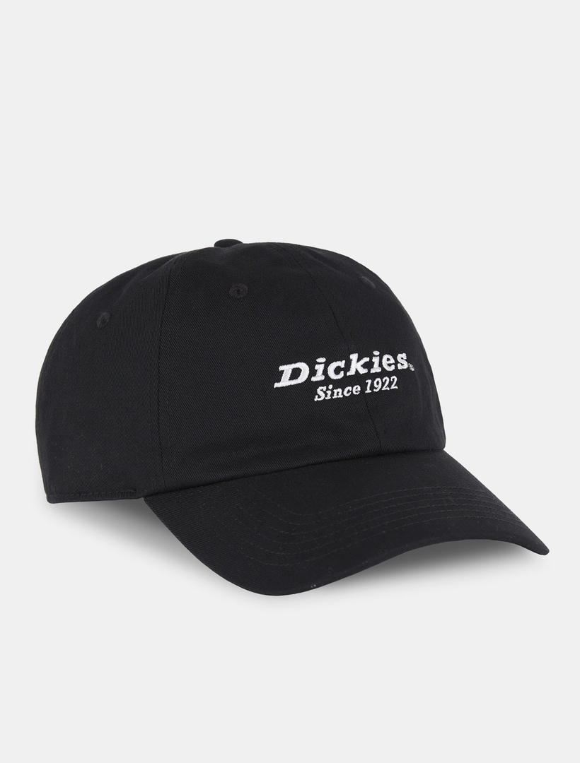 Baseball Cap »Dickies Workwear Mützen TWILL DAD HAT«