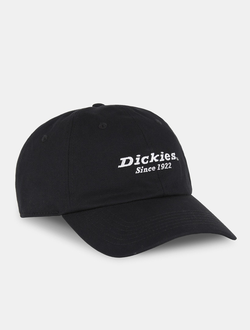 Dickies Baseball Cap "Dickies Workwear Mützen TWILL DAD HAT"