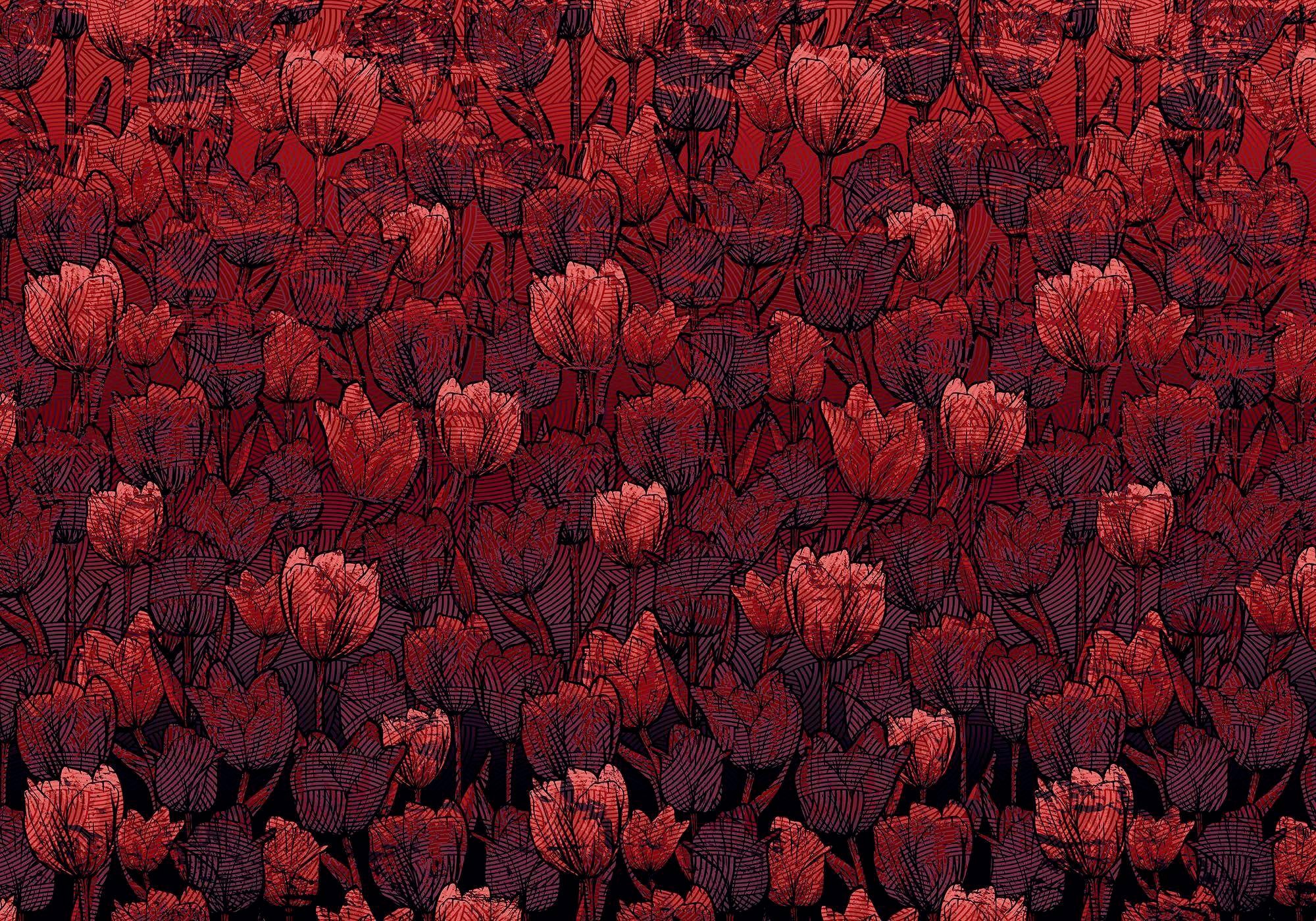 Komar Vliestapete "Tulipe", 400x280 cm (Breite x Höhe)