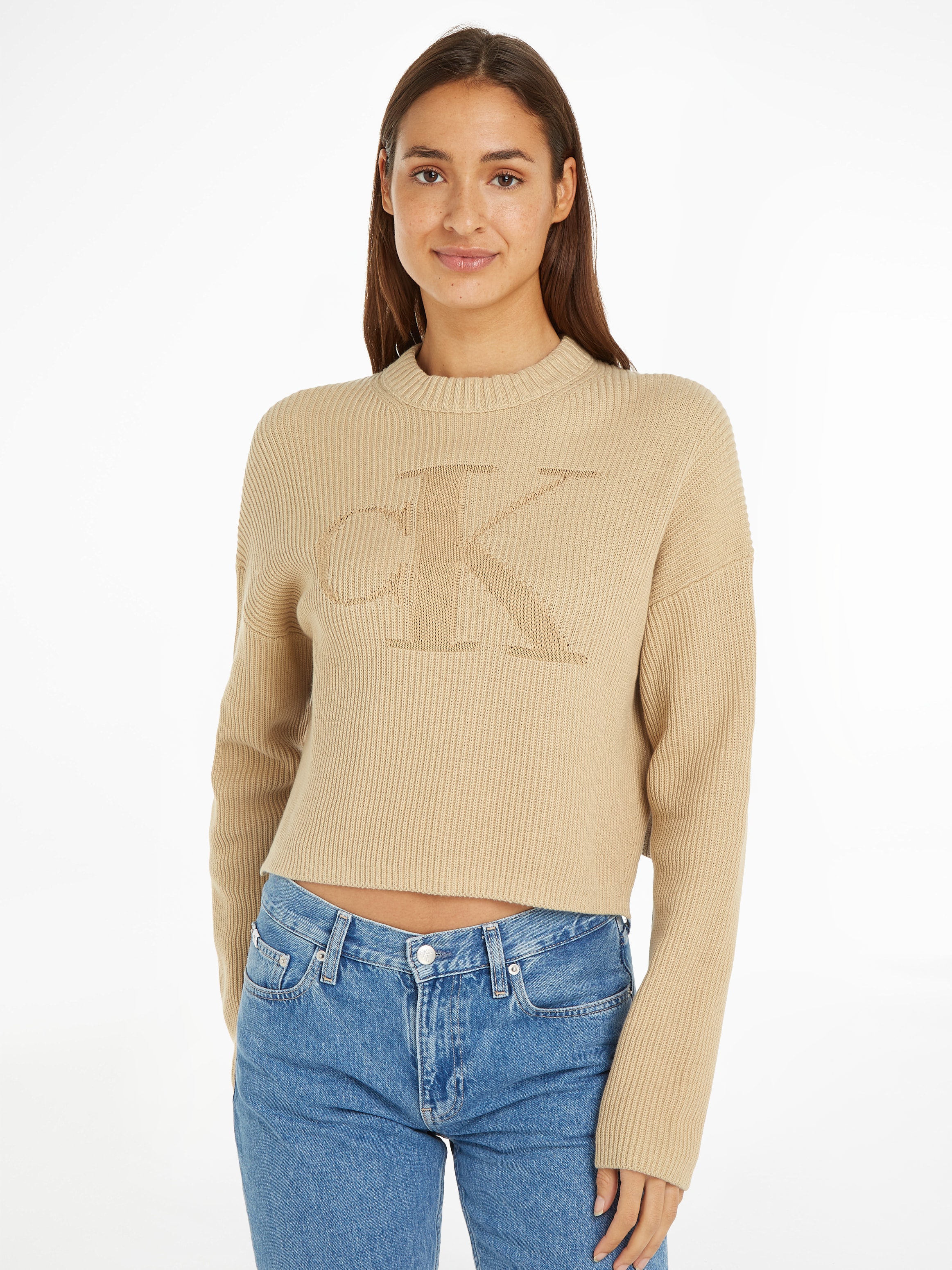 Stehkragenpullover »LOGO INTARSIA REGULAR SWEATER«, mit Logostickerei